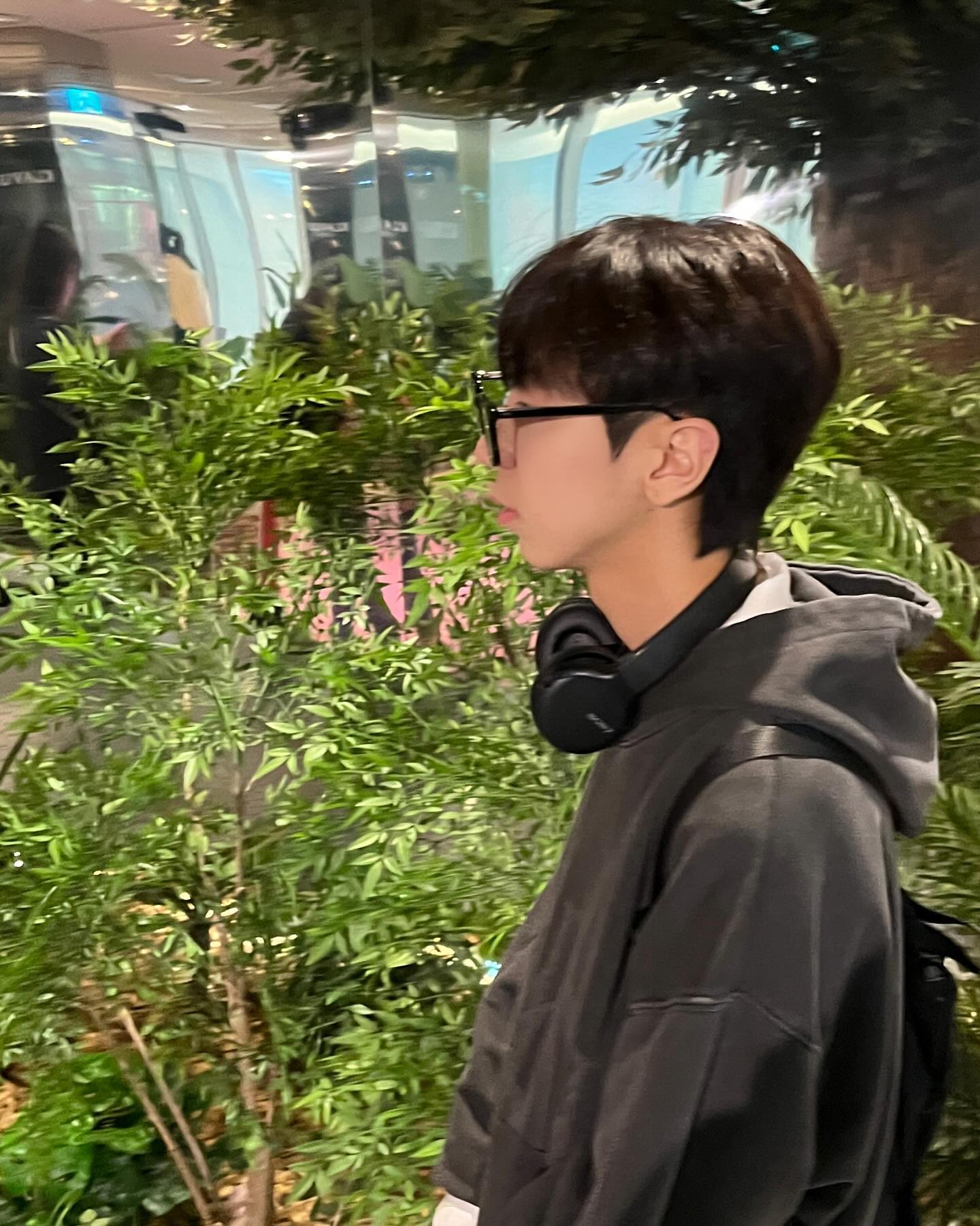 심심해 놀아줘🥊