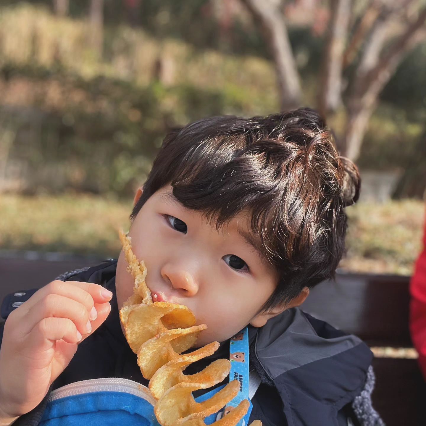 이월드 회오리감자 맛집인가?? ㅋㅋㅋ
너무 알차게 먹는다👍
엄마 한입만 줄래?? ♥♥

#이월드 #한입만 #회오리감자 #아들맘 #형제스타그램