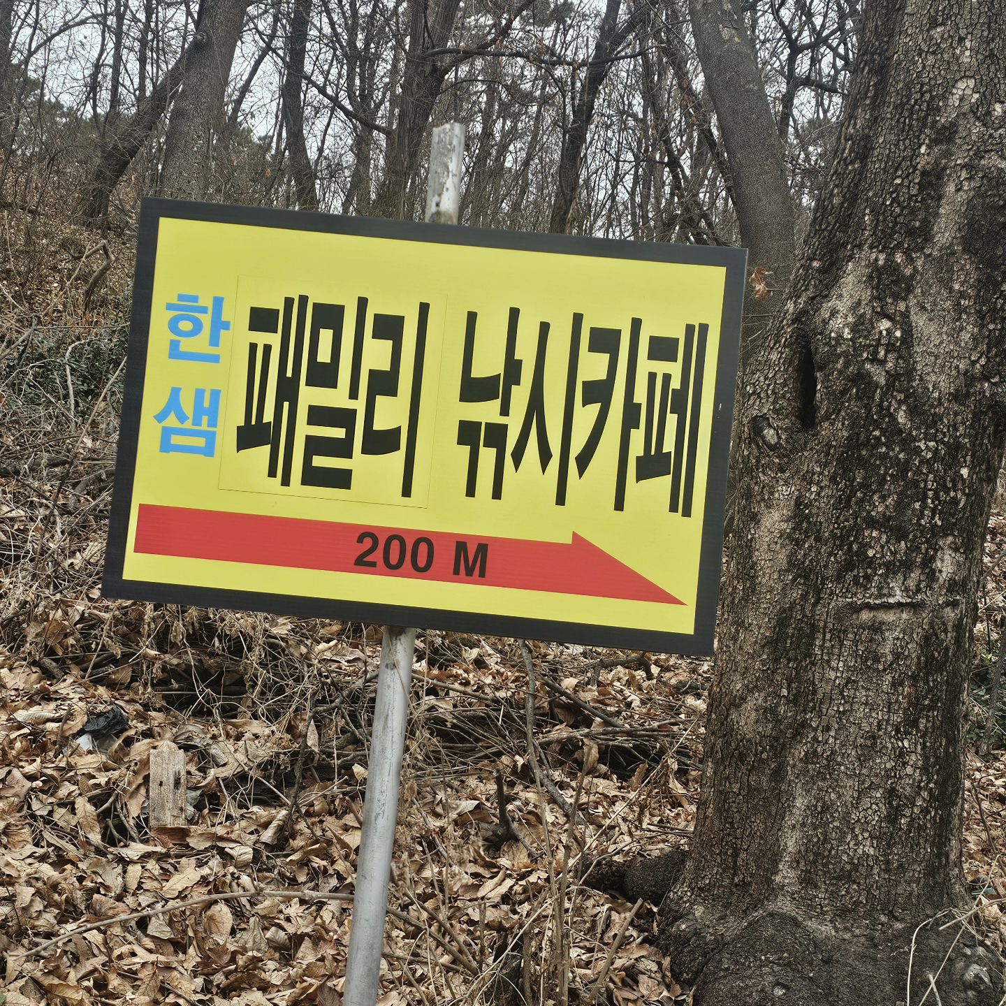 방학 ~참길다~~~그래도 놀아줄수있을때
많이놀아주자!! 점심때 가서 저녁까지
원없이 낚시놀이~ 내가 낚시를 좋아하지 않는이유!!
먹이를 껴주는사람이없어..흑흑맨손으로 애벌래
잡아 껴주고 손맛은 아이들이 느끼고~
나는먹이 담당!!ㅜㅜ. 너희가 즐거웠으면 됐다!
오늘도 수고한 나를위한 한잔!!고생했다😂😂
.
.
#일상
#육아
#낚시
#빙어
#방학