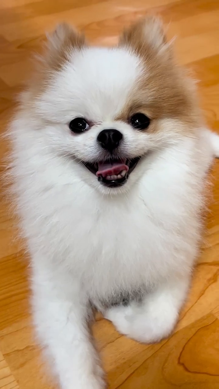 엄마그만해..