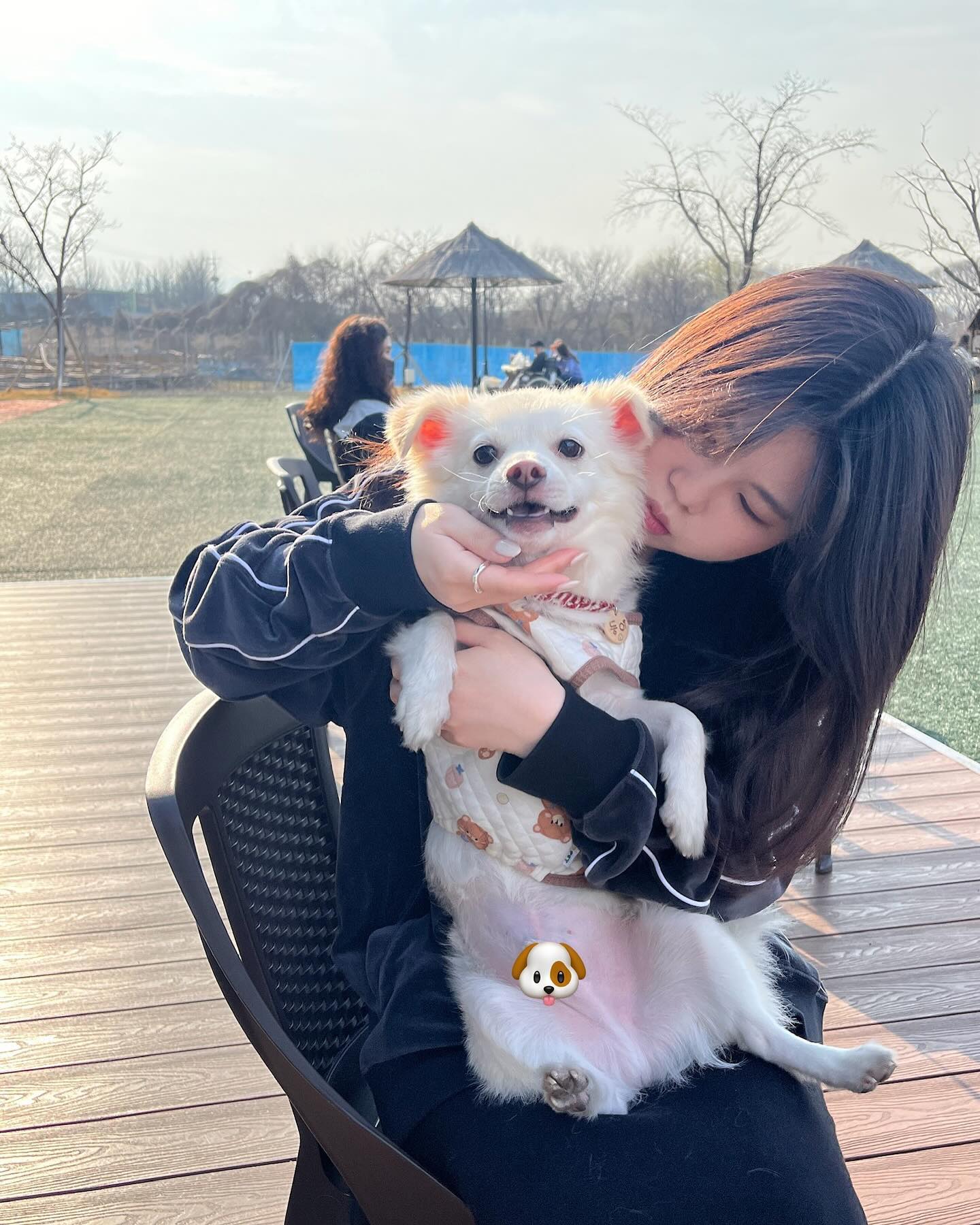 둥🐶
 
#경산카페 #애견동반카페 #오던