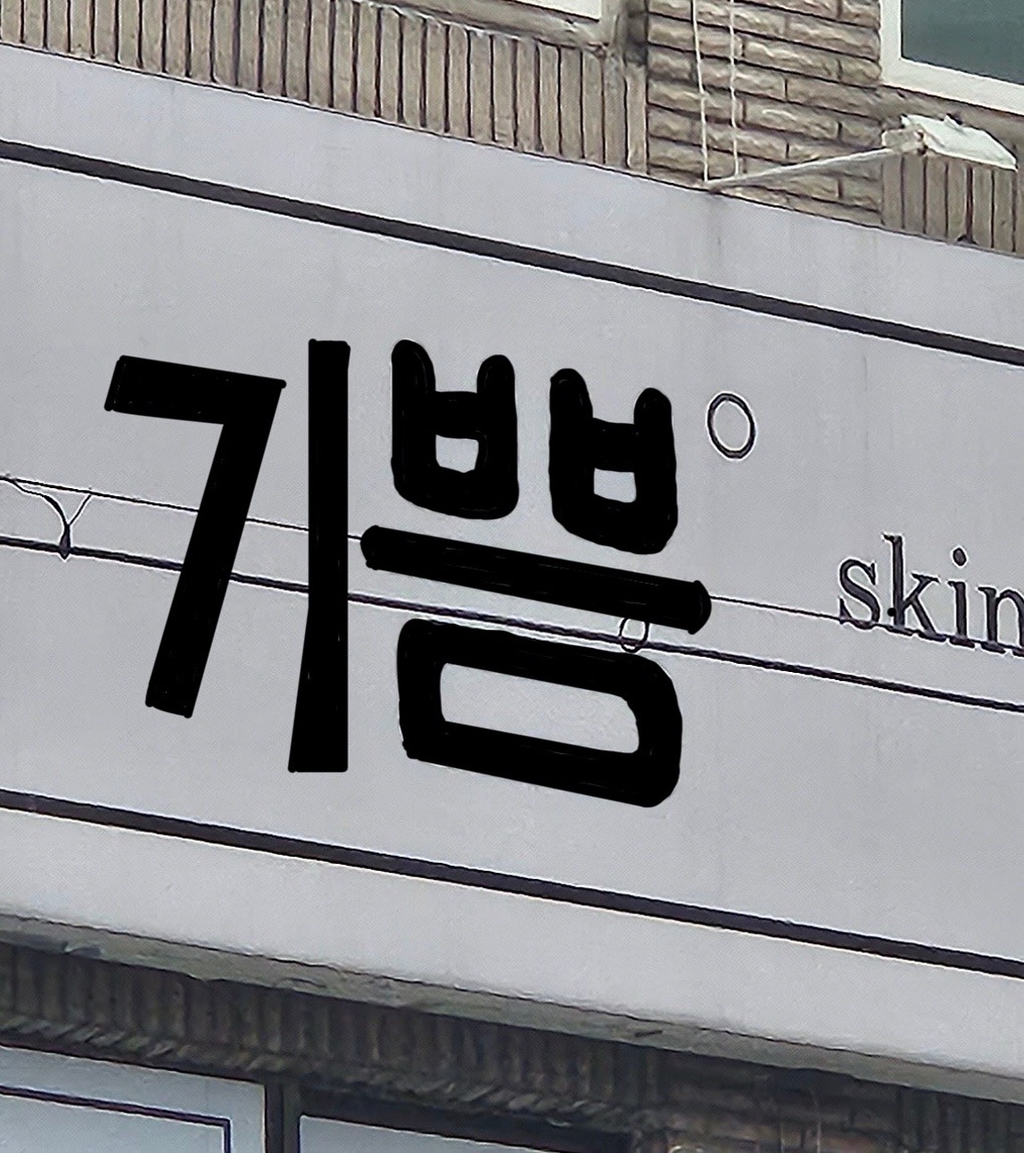 동팔이와 효쨩의 비대면 합동 작품