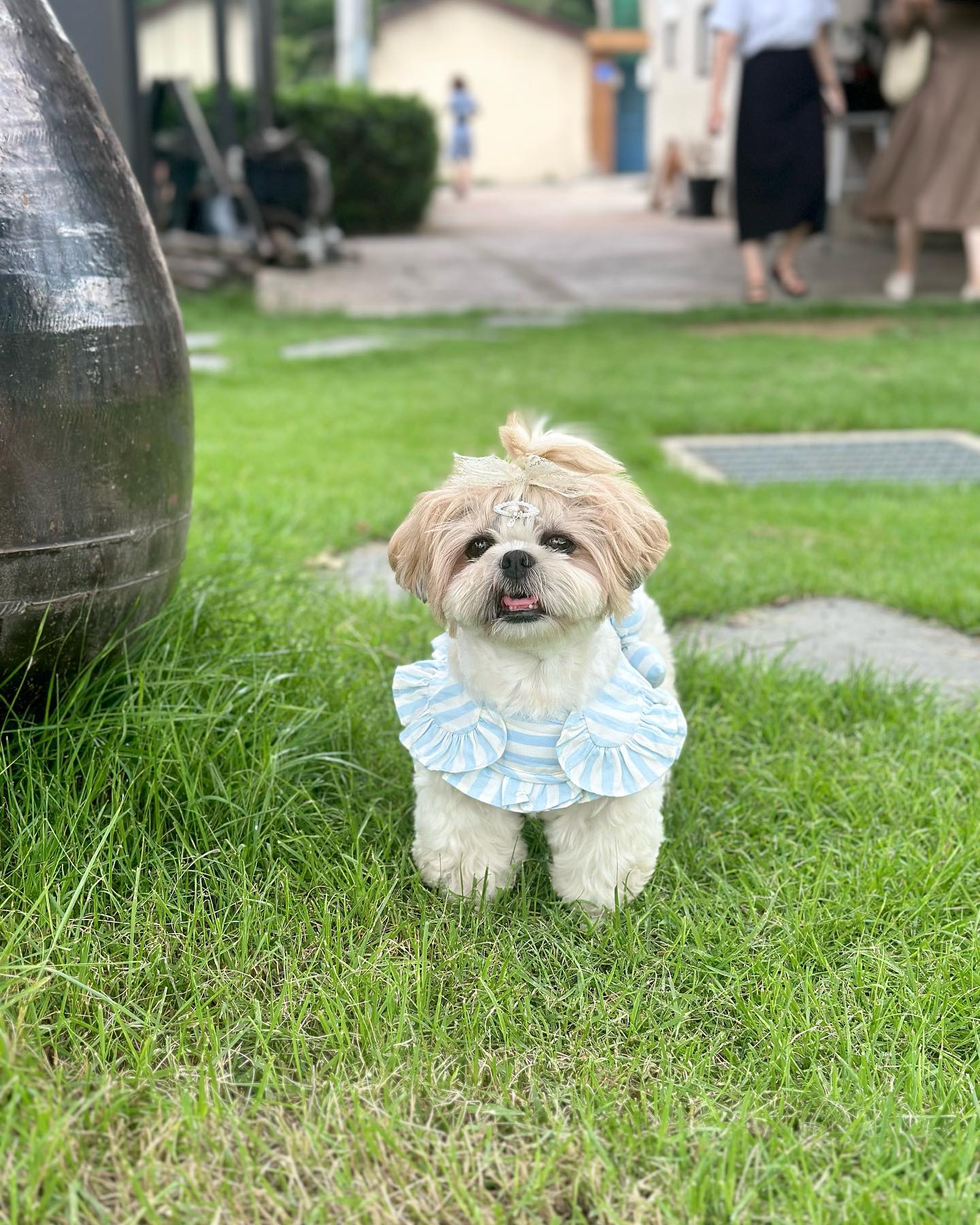 지렁이춤 출정도로 햄뽁해떤날 🩵

츄 천국이라 찡코언니도 힐링 … 🤭