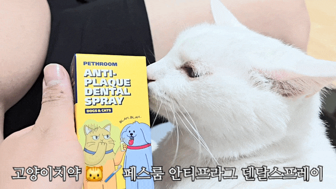 페스룸 안티 프라그 덴탈 스프레이 로 손쉽게 고양이 구강관리 가능!
