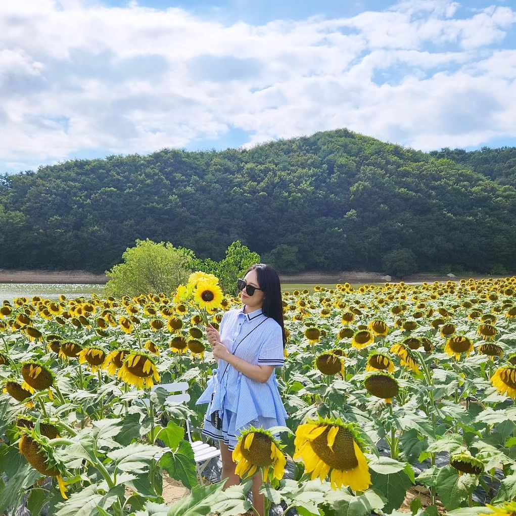 🌻 
바실라 해바라기 카페
또 경주를 와버렸지 뭐에요♡
.
.
#바실라 #바실라카페 #경주바실라 #경주바실라카페 #경주해바라기카페 #해바라기카페 #경주카페