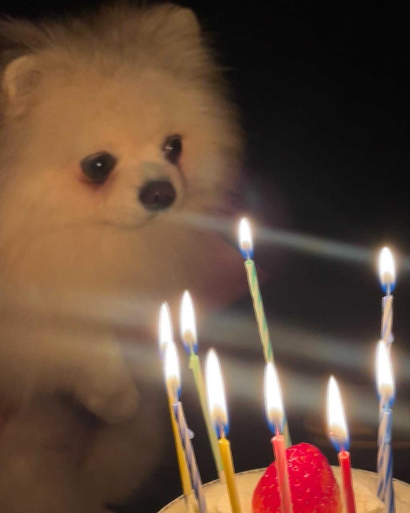 2️⃣7️⃣살 해피 생일🎂🫶🏻