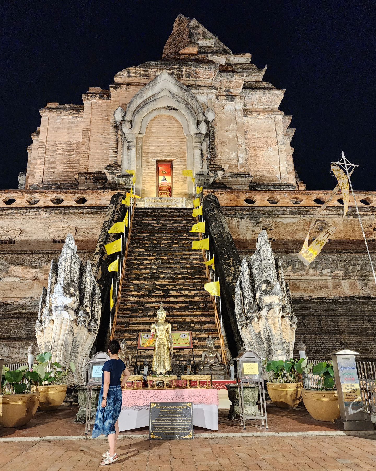 #여인향기 
외국인들은 50바트 내고 들어가는
#왓쩨디루앙
#Thailand
#chiangmai 
#thailandtravel
#chiangmaitravel
#watchediluang
#buddha
#traveling
#วัดเจดีย์หลวงวรวิหาร เชียงใหม่