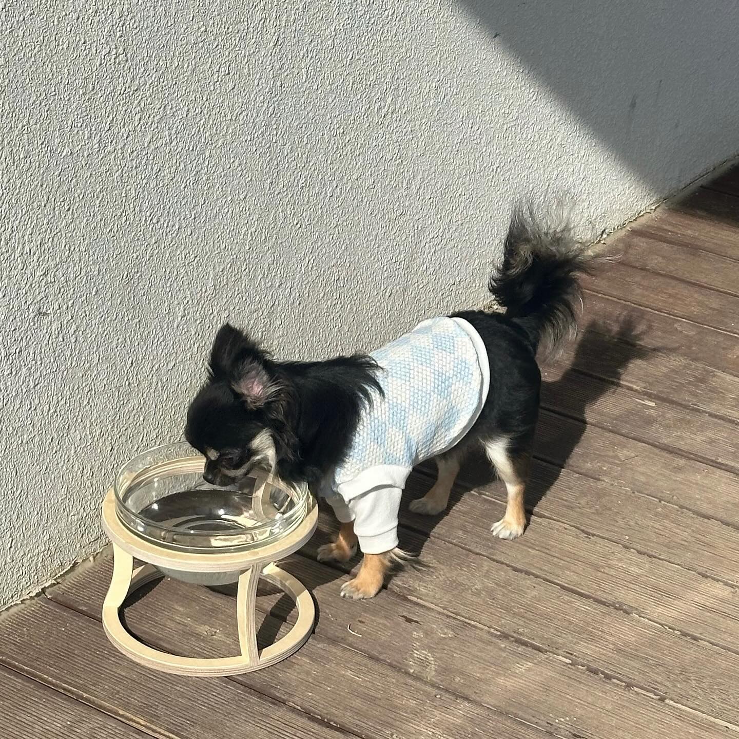 #서포터즈 bamdaring_pet 
탄이 첫 수학여행 룩은 밤다링 파스텔 구름 조끼티🩵☁️

파스텔톤에 체크무늬가 봄이랑 찰떡🫢
구름 이모티콘이 더욱 귀여운 포인트를 주고
핑크, 블루 두 가지 컬러가 있어서
벚꽃 나들이 갈때 개플룩으로 입어도 너무 이쁠 거 같더라구요🩵☁️

탄이는 역시 하늘색이 찰떡 ,,,,☺️🩵