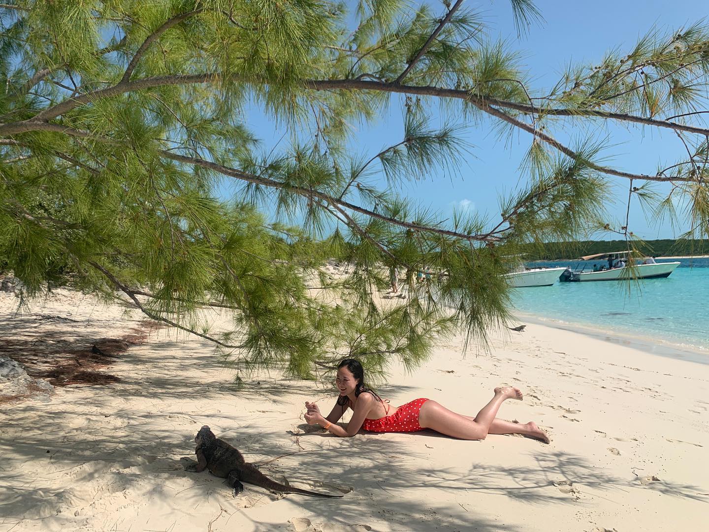 Leaf Cay Exuma #leafcaybahamas #leafcay #bahama #bahamas #bahamaexuma #バハマ #🇧🇸 #바하마 #바하마여행 #엑수마 #이구아나섬 #iguanaisland #travelphotography
