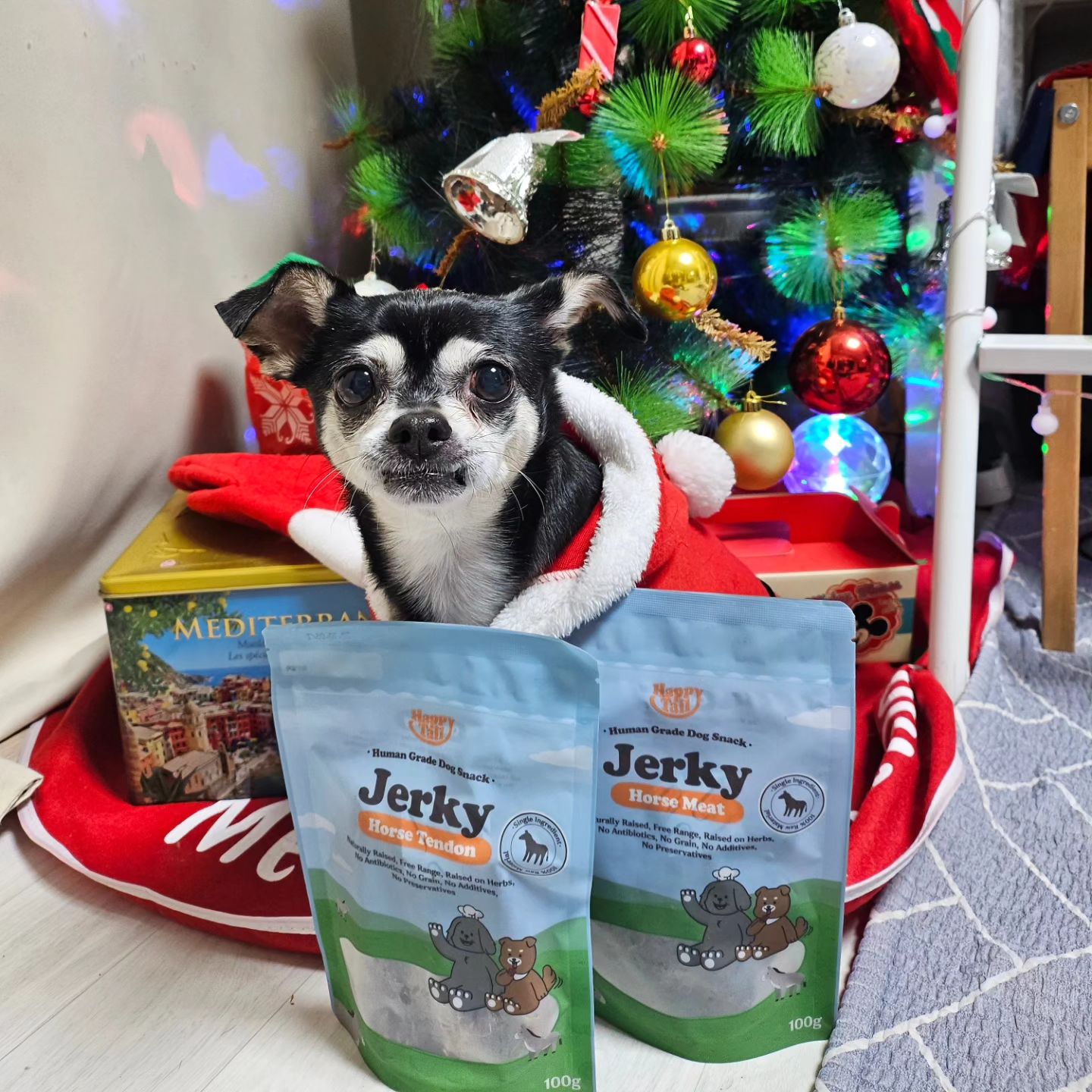🐶🐾🎄