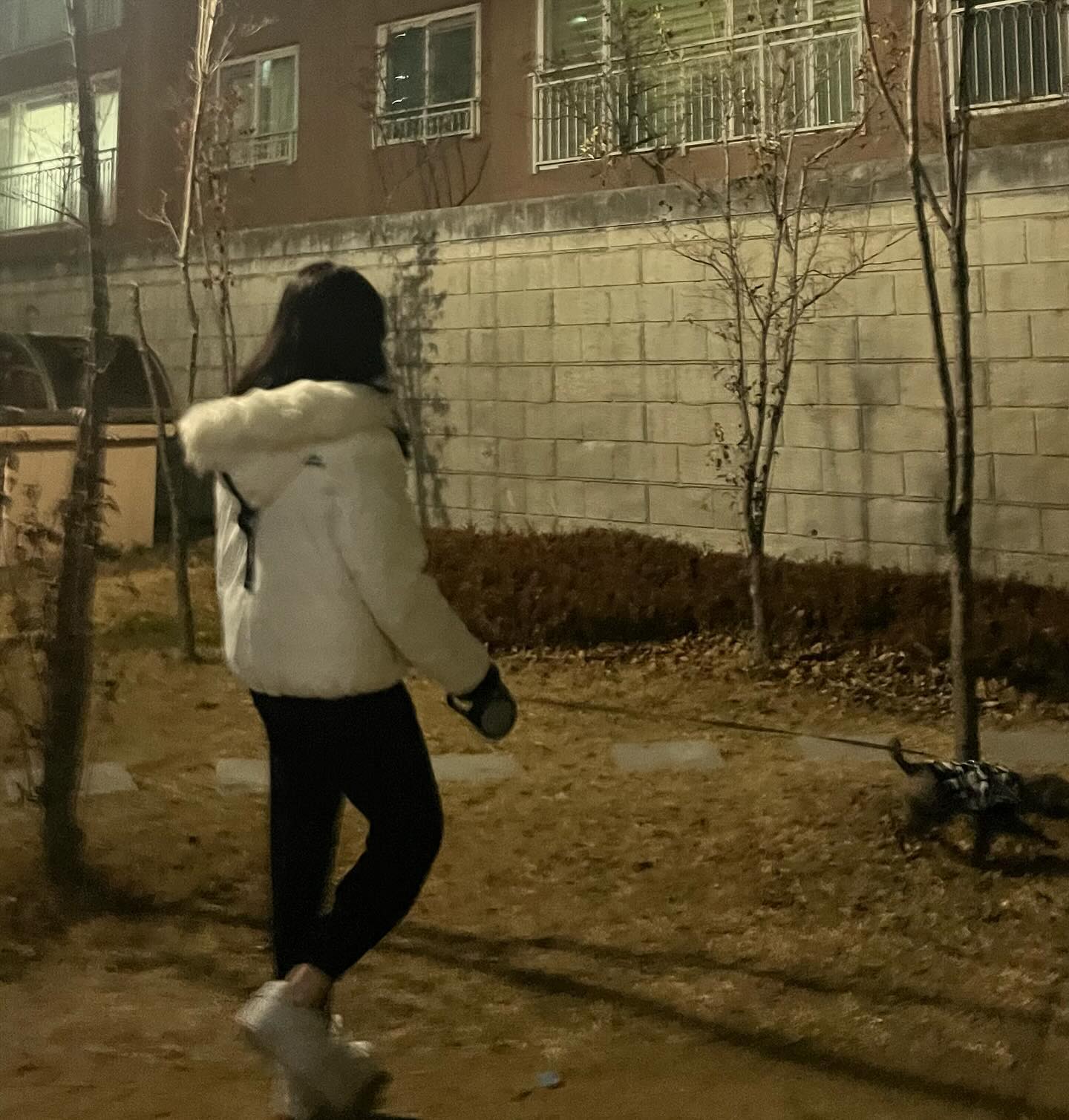 강아지 산책은 첨이야 ㅎ🤭🐶