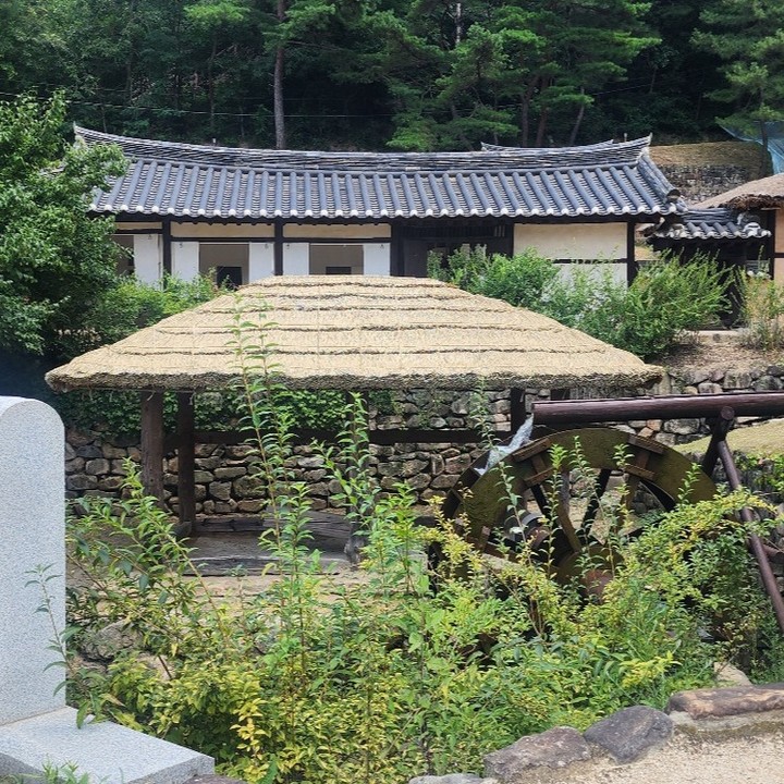 콘텐츠