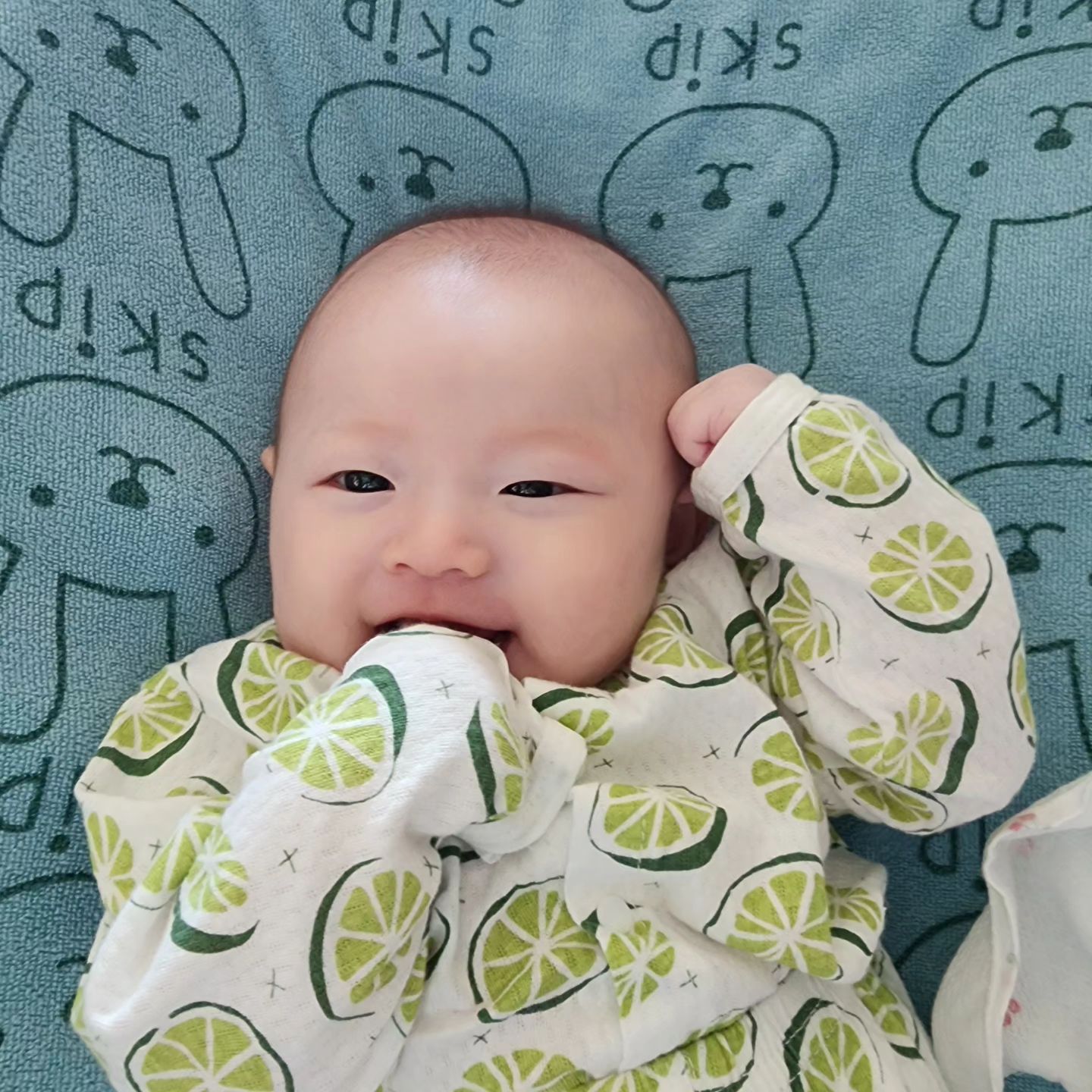 🏷다경♥️ D+101 #오늘의기록

라임소녀 다경이
새로운 장난감 #꼬꼬맘 에 빠지다
다경이 따라하는 아빠🤣

#생후101일 #흑토끼띠 #오늘도사랑해
#딸스타그램 #육아스타그램 
#터미타임