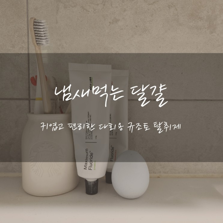 [라이프스탠다드 냄새먹는달걀] 컴팩트하고 귀여운 규조토탈취제