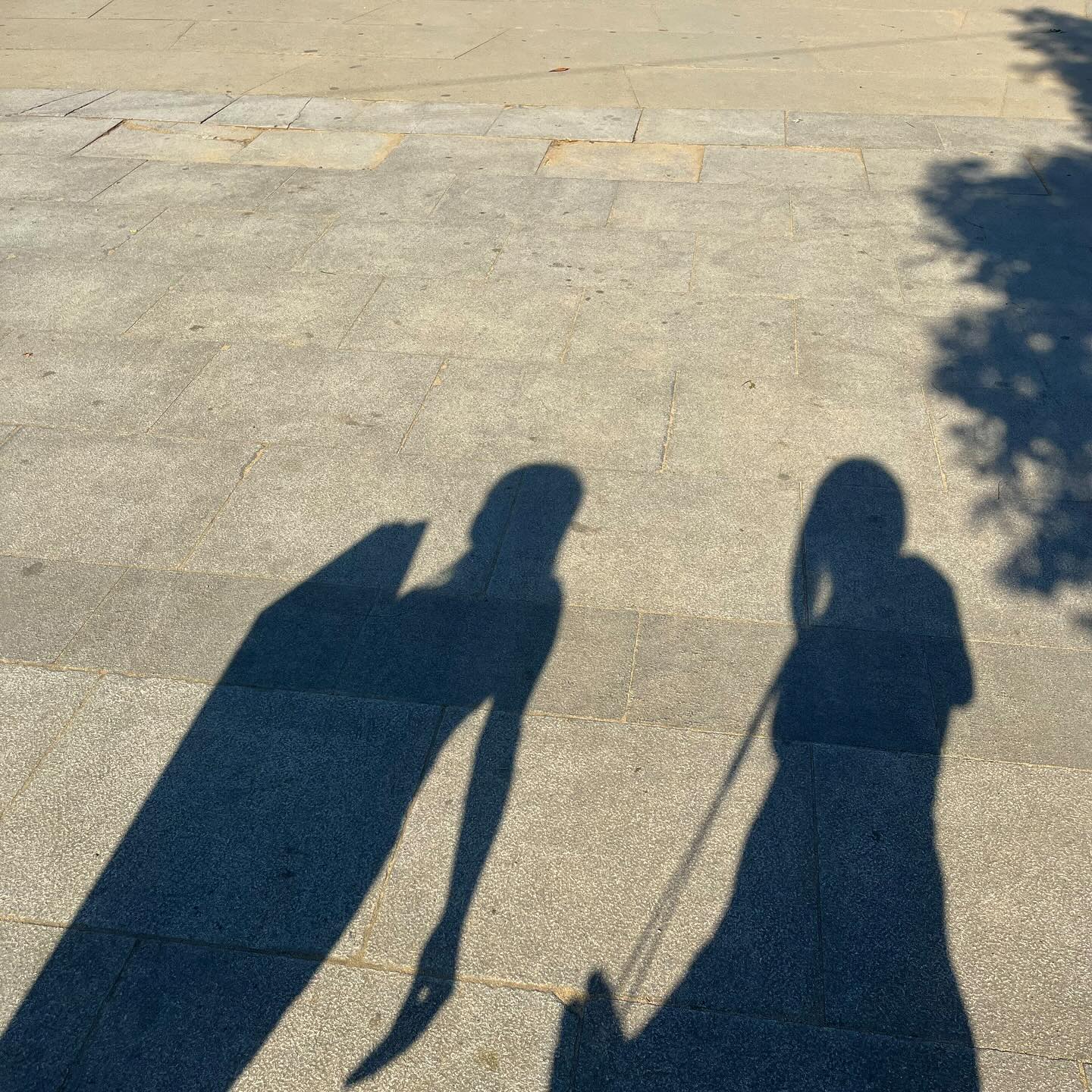 다 담을 수 없는 2023년 이지만 어영부영 담아 올려보는,,🌞💌