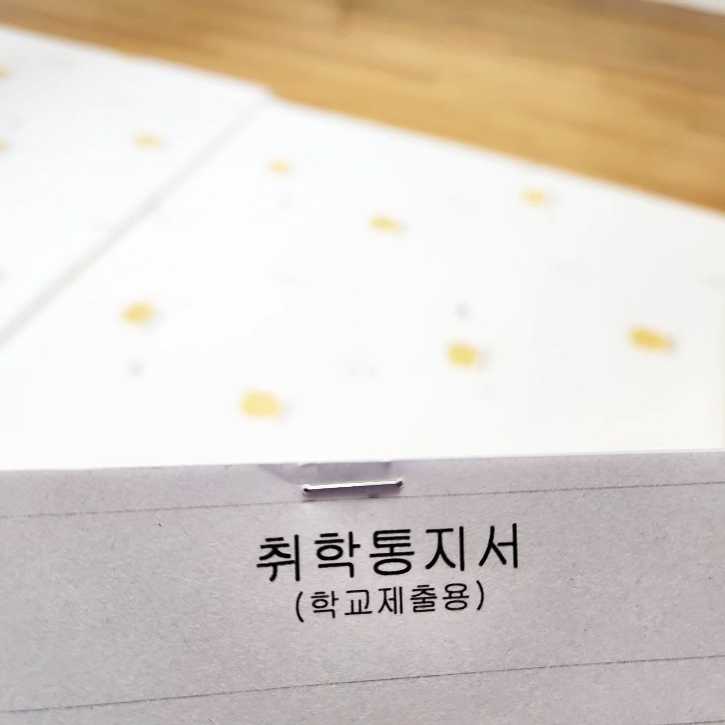 #20231212
7살 딸래미, 취학통지서 나오다!!!

내년에 학교를 가다니!!!

취학통지서 받고 우리딸은 왜 울고 난리인지...ㅠ
학교가기 싫고 유치원 떠나기 싫다네~

학교가면 놀 시간이 없는지 아는데
놀 시간은 더 많거든 ㅎㅎ

12시에 나올거 생각하니 벌써 힘들다 ㅎㅎ