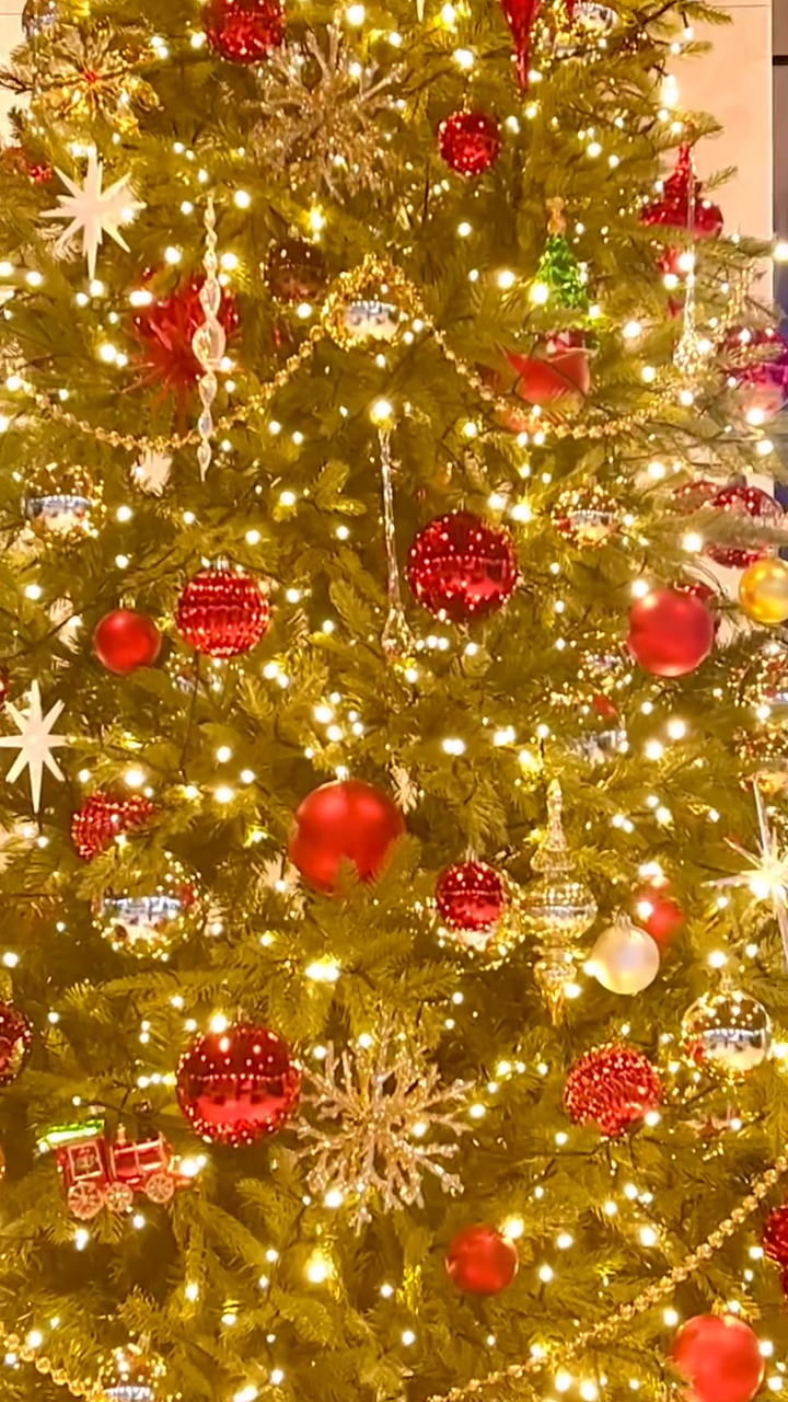회사에 트리 생겼다~~~ 🌲🎅 🎁 💝
끈데 일하기 싫다아~~~ 😛 😙 😵 🫠