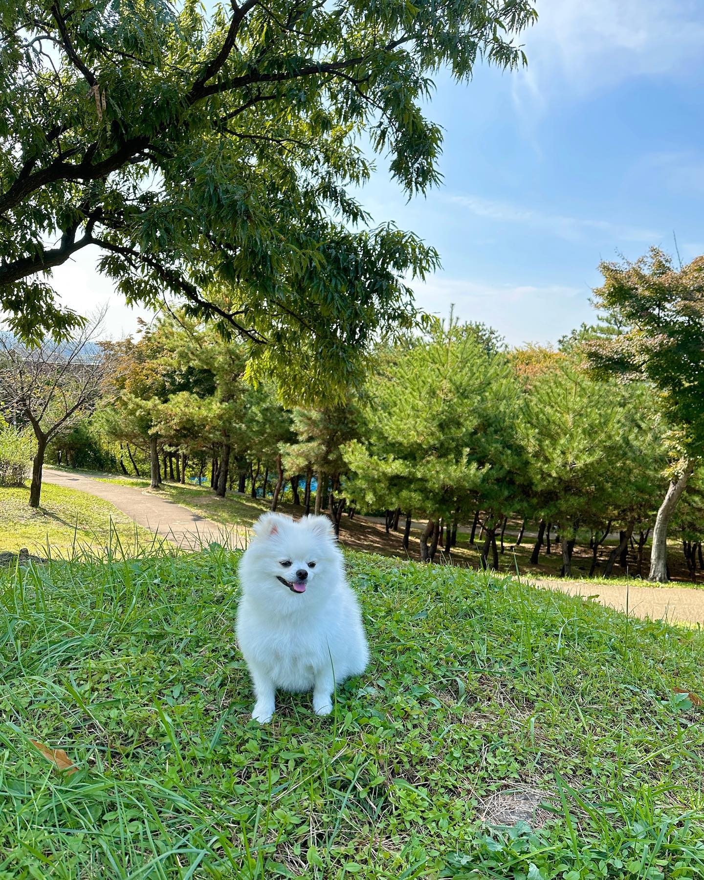 나무냄새 풀냄새 좋아하는 꿍까🌳🌲🎋
