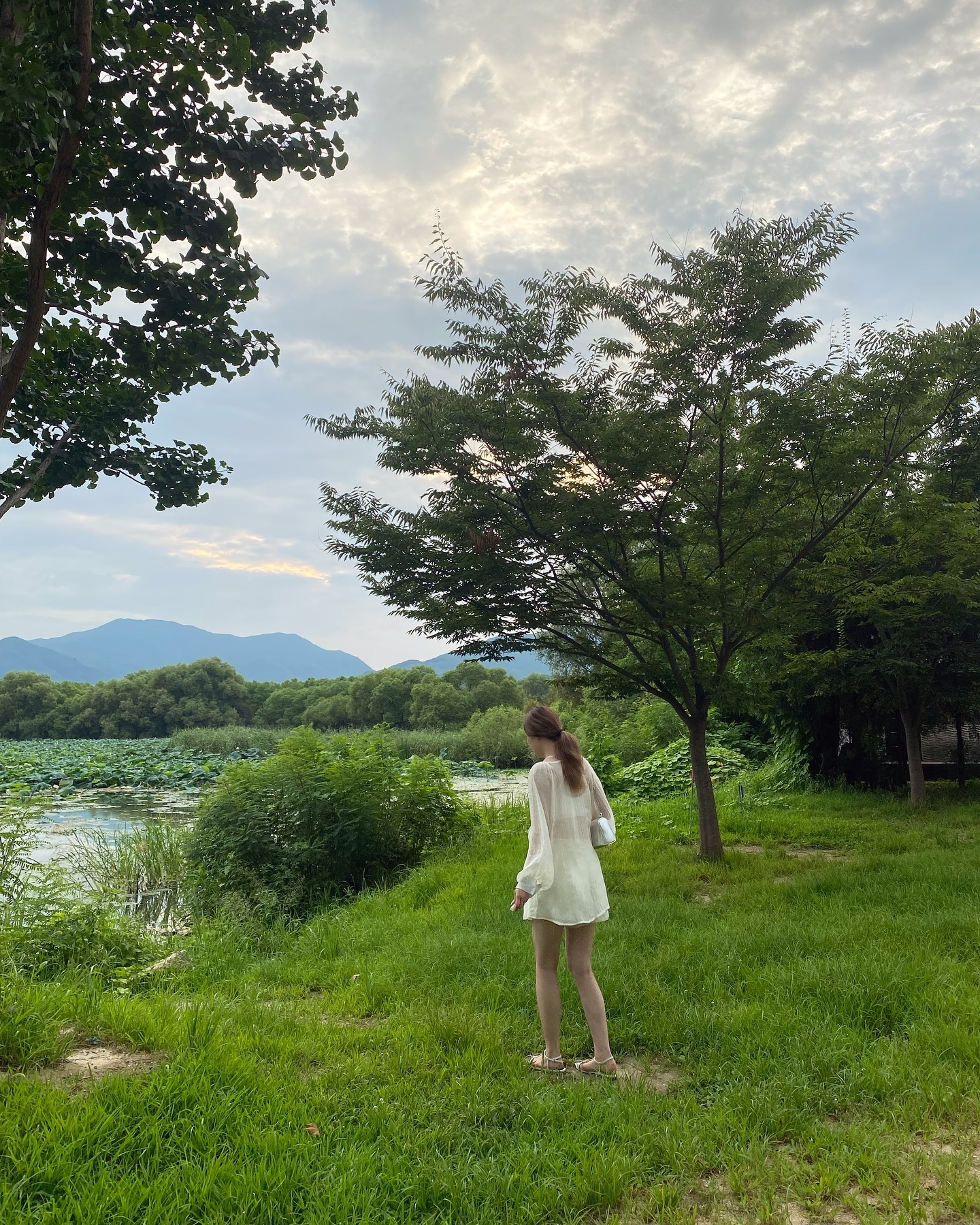 1년 전 오늘 🌳 #두물머리