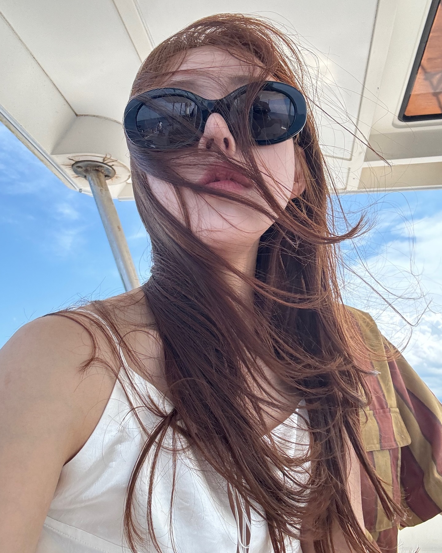 🛥️🐬