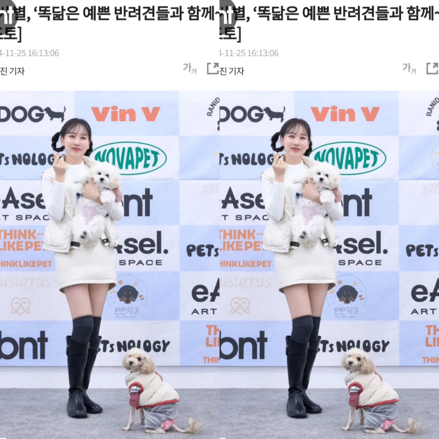 #니가왜거기서나와🎶 #못말려징짜 #황제리 #앜ㅋㅋㅋㅋㅋ🤣 #남의사진같이찍기 #관종의삶 #나는관종아님주의😅 #토이푸들계의무법자 #미쵸징짜 #빵터짐😂 #그와중에눈빛먼뎈ㅋㅋㅋ #포즈어쩔탱구맄ㅋㅋㅋㅋㅋㅋㅋ