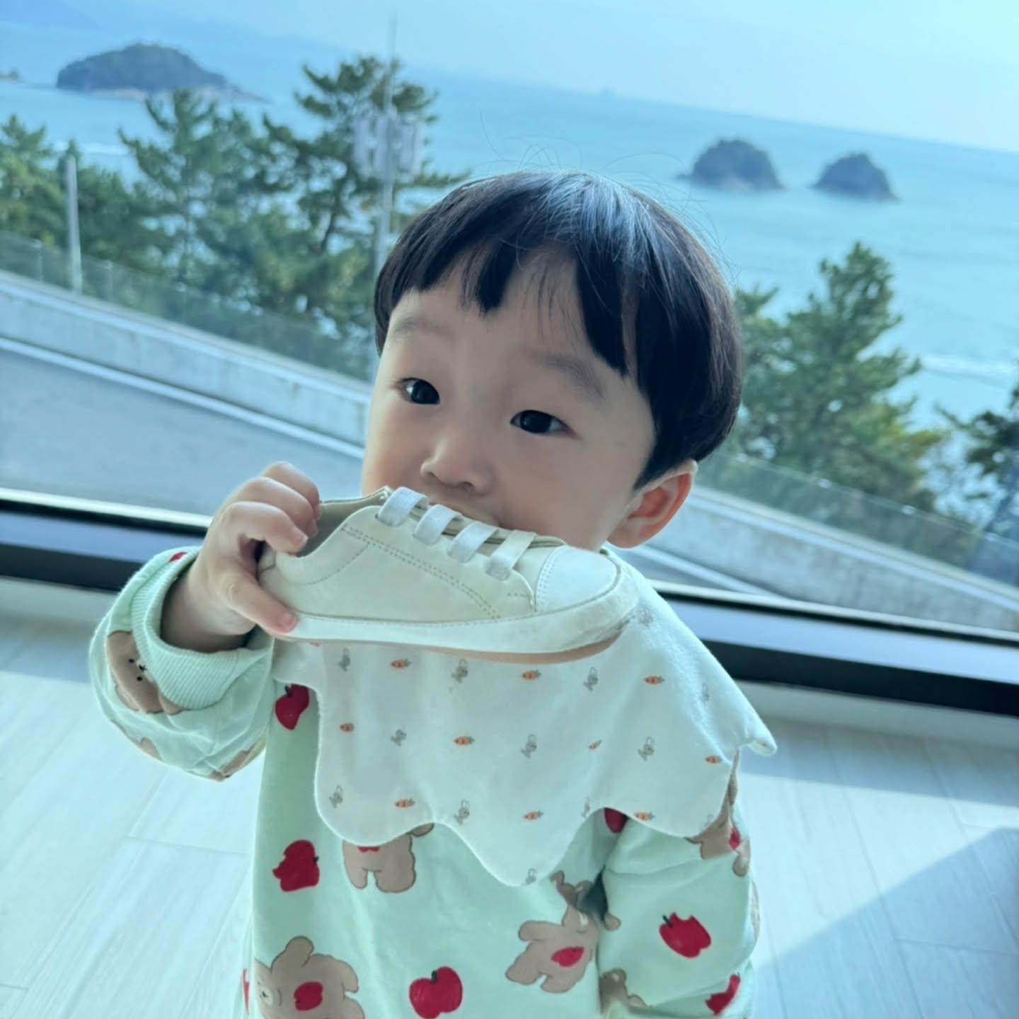 뭐든 씹어먹을 나이라지만
신발은 아닌거같아😂

신발좀 가만히놔둬