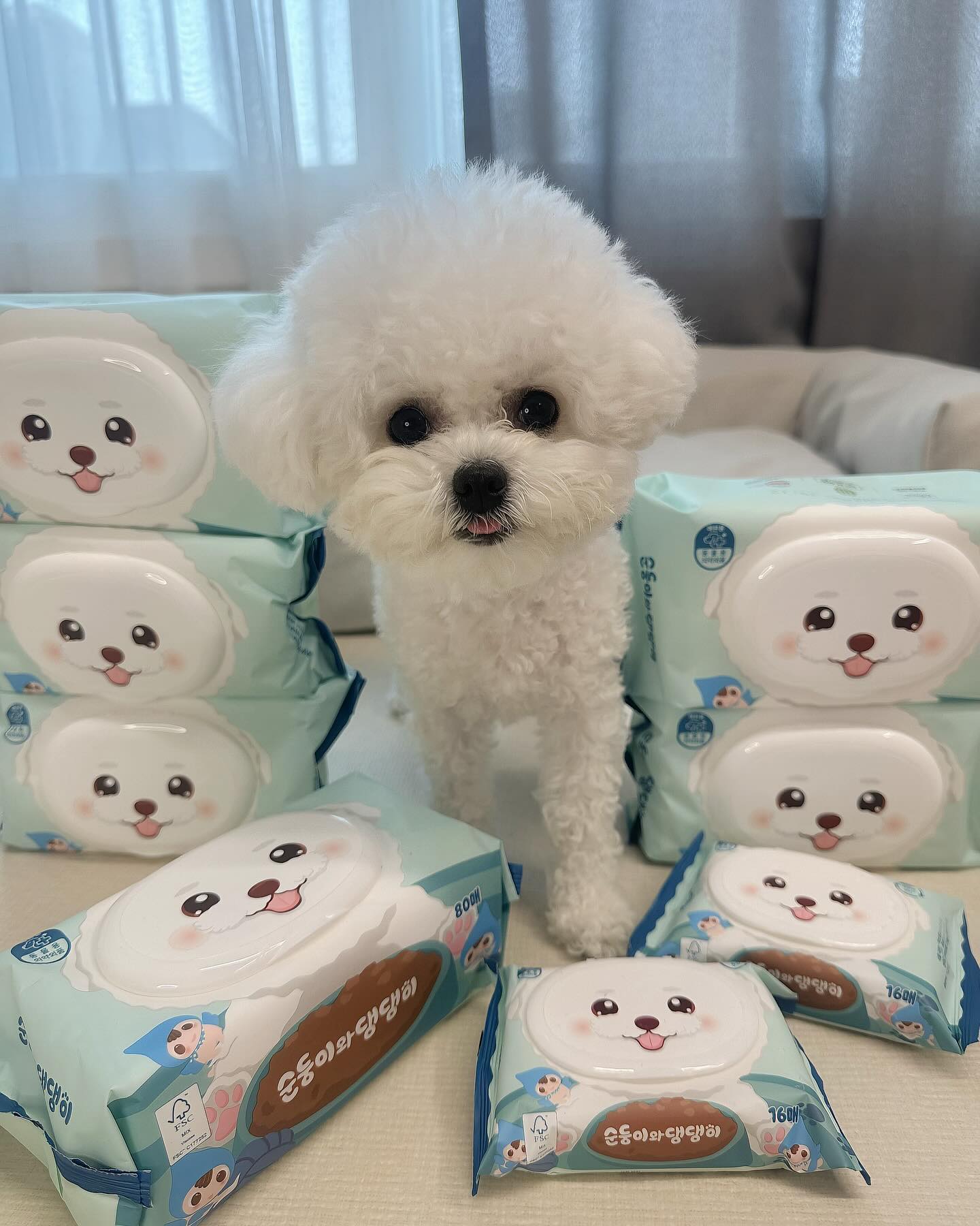 아직 댕댕이전용 물티슈 안쓰는 친구이떠? ( o̴̶̷᷄ ·̫ o̴̶̷᷅ )

🏷️ soondoongi_pet 

순둥이는 아기물티슈 전문브랜드인데
반려견피부 중성에 가깝게 만든 반려견전용 강아지티슈 
순둥이와댕댕이를 들고와따구우!!!! ۹(ÒہÓ)۶

반려견에게 흔히쓰는 아기물티슈는 
약산성(pH 4.5~5.5)으로 만들어져서 순하게 만든건 맞지만

중성(pH 7~7.5)인 반려견의 피부를 약하게 만들기때문에!
​
중성에 가까운 강아지들에게도 자극없는
반려견전용 강아지물티슈를 사용해주시는게 좋다구해💙

울엄마는 급하면 손에 잡히는 물티슈 별 생각없이 사용했는데

산도 차이 관점에서는 
강아지들에게 아기물티슈를 쓰는건
아기피부에 식초를 바르는것과 동일하다는 얘기듣고 
옴총 깜짝놀랬쟈나 ٩(๑`^´๑)۶

눈주변, 입주변 산책후 발바닥, 응가 묻으면 예민한 부위까지
강아지티슈 매일매일 사용하는데
​
💙이젠 믿을 수 있는 물티슈 전문 브랜드 순둥이💙
순둥이와댕댕이로 걱정없이 사용할수 있겟다아!!!!!

댕댕이들!!! 로또네처럼 아무 물티슈나 사용했던 
옴망압빠 있으면 강아지 피부에 맞춰 중성에 가깝게 만든 
순둥이와댕댕이 구경하러가자 쪼르쟈구!!!💙

“뽀또 닮은 휴대용 캡도있다구!!!! 외출할때도 순둥이와 함께해요”
.
.
.
.
.
.
#제품협찬 #댕댕이물티슈 #순둥이물티슈 #순둥이와댕댕이