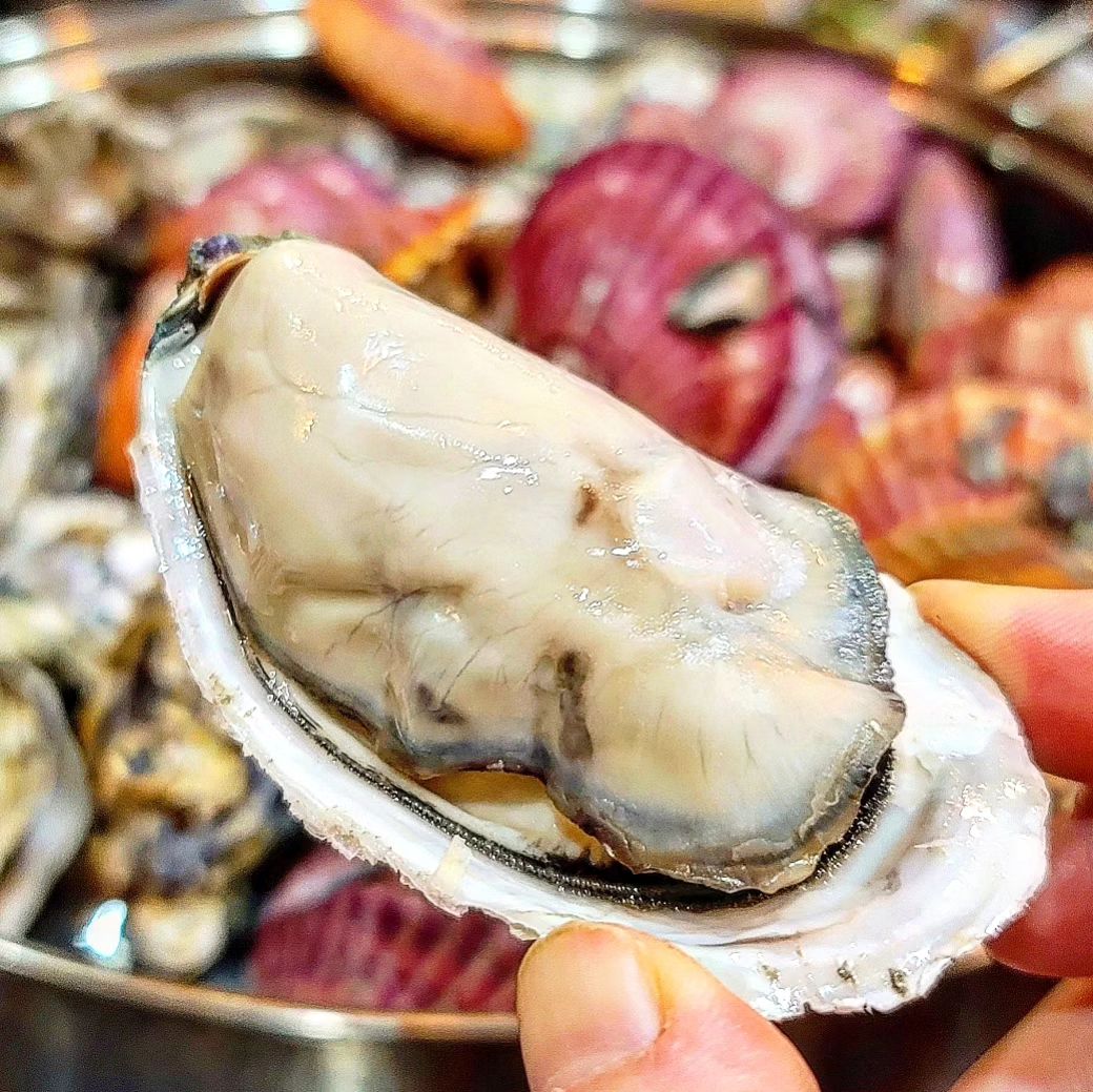 겨울이 가기전에 어서어서 굴찜 레쓰고🦪

생굴도 맛있지만~
역시나! 찜으로 먹을때 더 통통해지는 굴찜🥹
소스도 필요없죠! 바다가 내 입속으로 고고씽🤤
해물만 10kg 준비해서 배터지게 먹기😃
달달한 가리비도 맛나고! 멍게 해삼은 말모말모👏👏👏

#석화찜 #굴찜 #가리비찜 #멍게 #해삼
#제철음식 #제철해산물 #해물모듬 #술안주추천
#먹방기록 #먹팔 #좋반