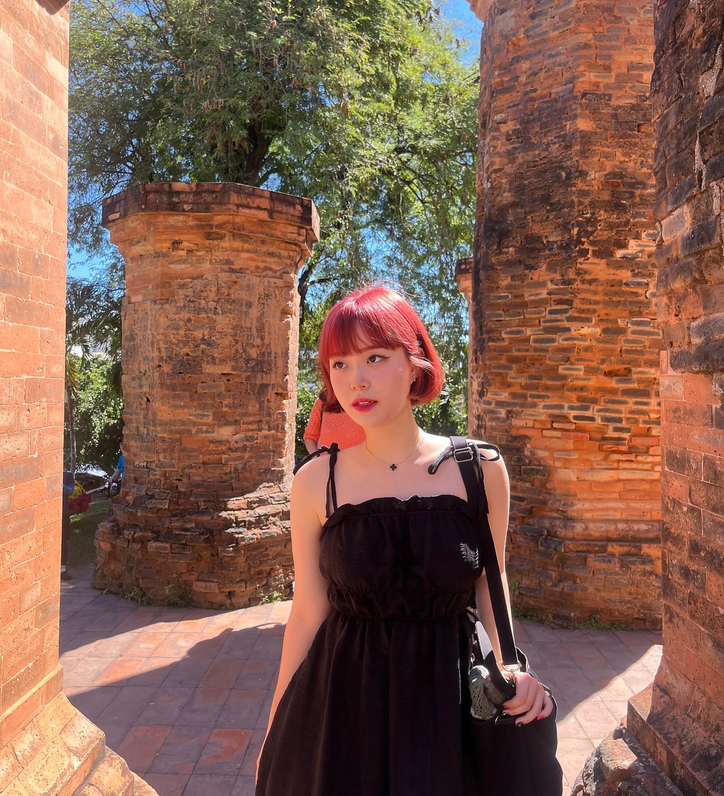 🇻🇳