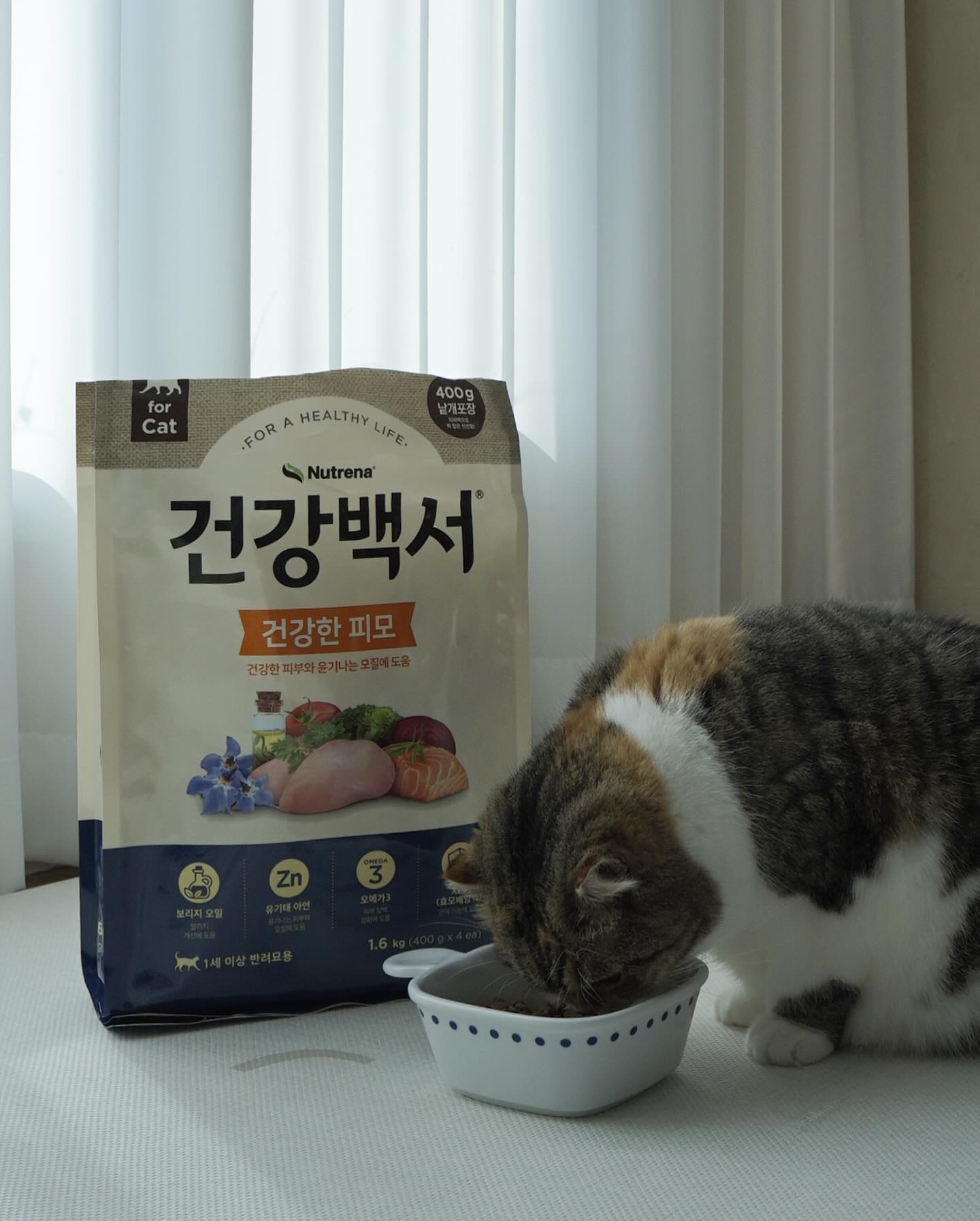 #협찬 healthpedia_official

반려묘를 키우기 시작한지 벌써 16년째 이네요🐈
항상 제가 우리 고양이들에게 바라는건 건강하게 오래 저랑 같이 사는거에요🥹
그래서 사료를 알아보고 알아보고 먹이고 있어요!
저는 한가지 사료보다는 믹스해서 먹이는걸 좋아해요👍🏻
이번에 믹스해서 먹이는 제품은 #건강백서캣 에서 나온 #반려묘사료 입니다.
사실 우리 호두, 몬드는 아직은 건강한 나이라서, 건강한 피부와 윤기나는 모질에 도움이 되는 사료로 골랐어요🤟🏻
현재 2주째 먹이고 있는데, 모질에 더 반질해진것 같기도?
꾸준히 먹여봐야겠어요😍

#건강백서캣 #반려묘피모사료 는 150여년의 동물영양 전문가인 카길이 만들어서 더욱 믿고 먹일 수 있어요!

#고양이사료 
#고양이사료추천