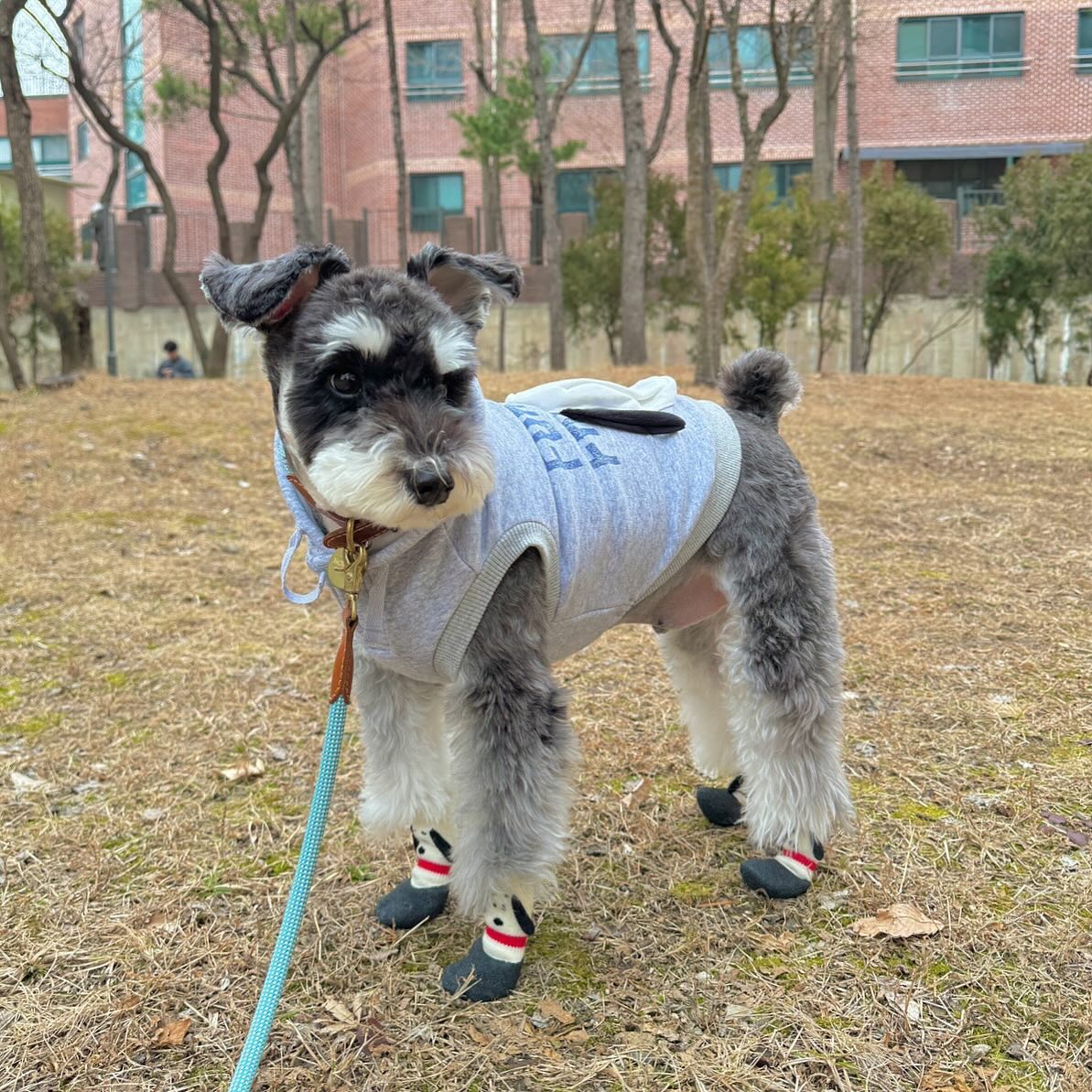 💙💙💙
사랑한다는 말로도 부족해