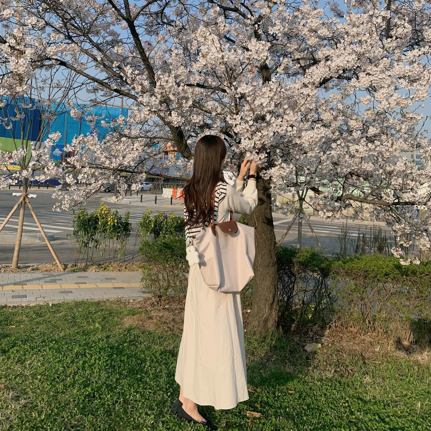 벚꽃은 못참지~ 🌸💕