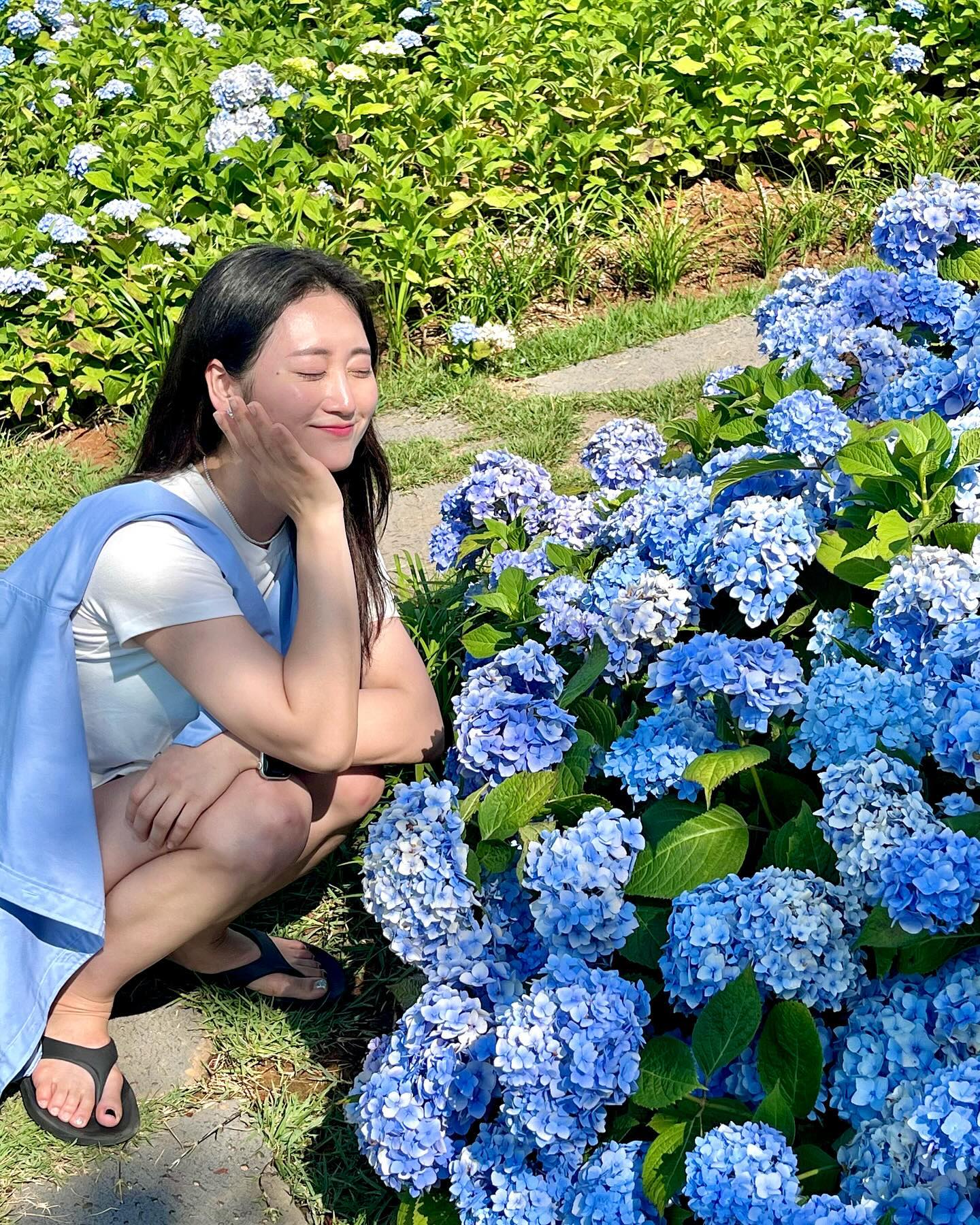 우중충한 날 맑은 사진 올리기🦋