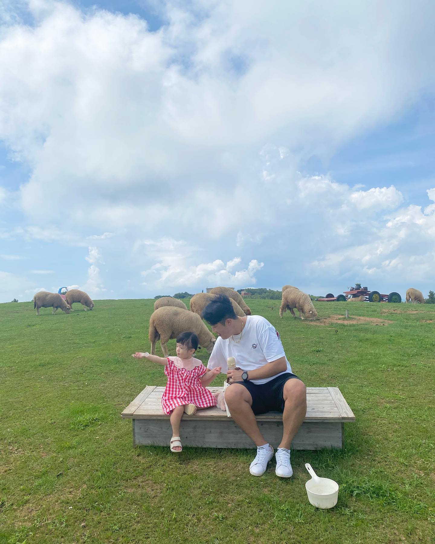 🐑
두번세번가도
갈때마다
너무 좋은곳

#울산양떼목장