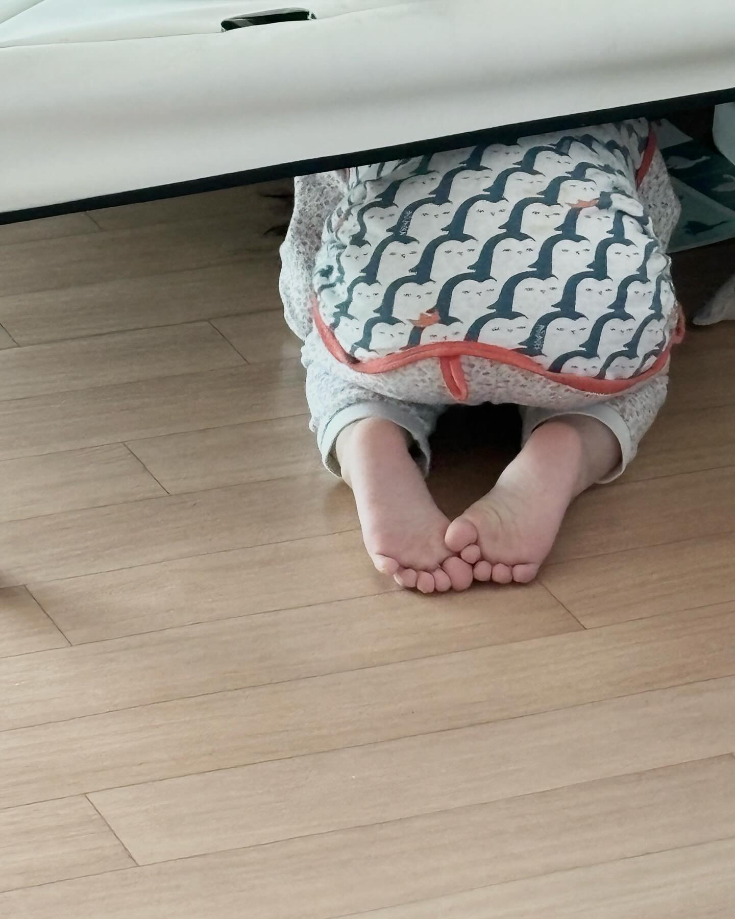 숨바꼭질 하는중 🤣
나름 숨어 있음
귀여워서 한컷!!
:
:
#주말오전#끄적임
#궁딩팡팡하고싶은뒷태 
#발꾸락#꼬물꼬물
#231112#1036#34개월아기