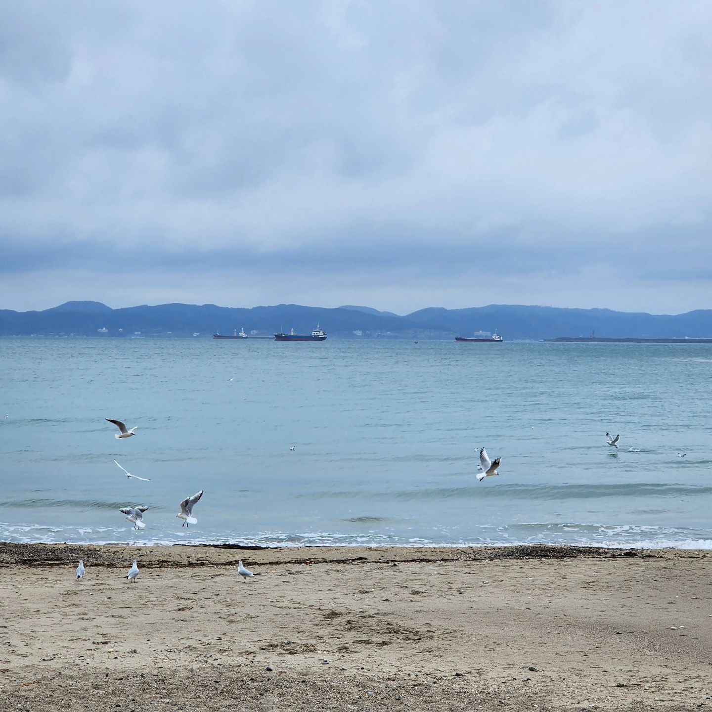 비가 오면 오는 대로
흐리면 흐린대로
그래도 바다는 좋아요🌊

바다 보면서 물회 한접시 🧊

시원하면서 새콤매콤한 도다리세꼬시 
지금이 제철이라 더 맛있어요🥰

feat. 이렇게 오늘도 쪄가는중😋

#포항물회 #영일대해수욕장🌊 #비오는날바다 #바다구경 #도다리물회 #가자미물회 #바다원해 seacrave_pohang