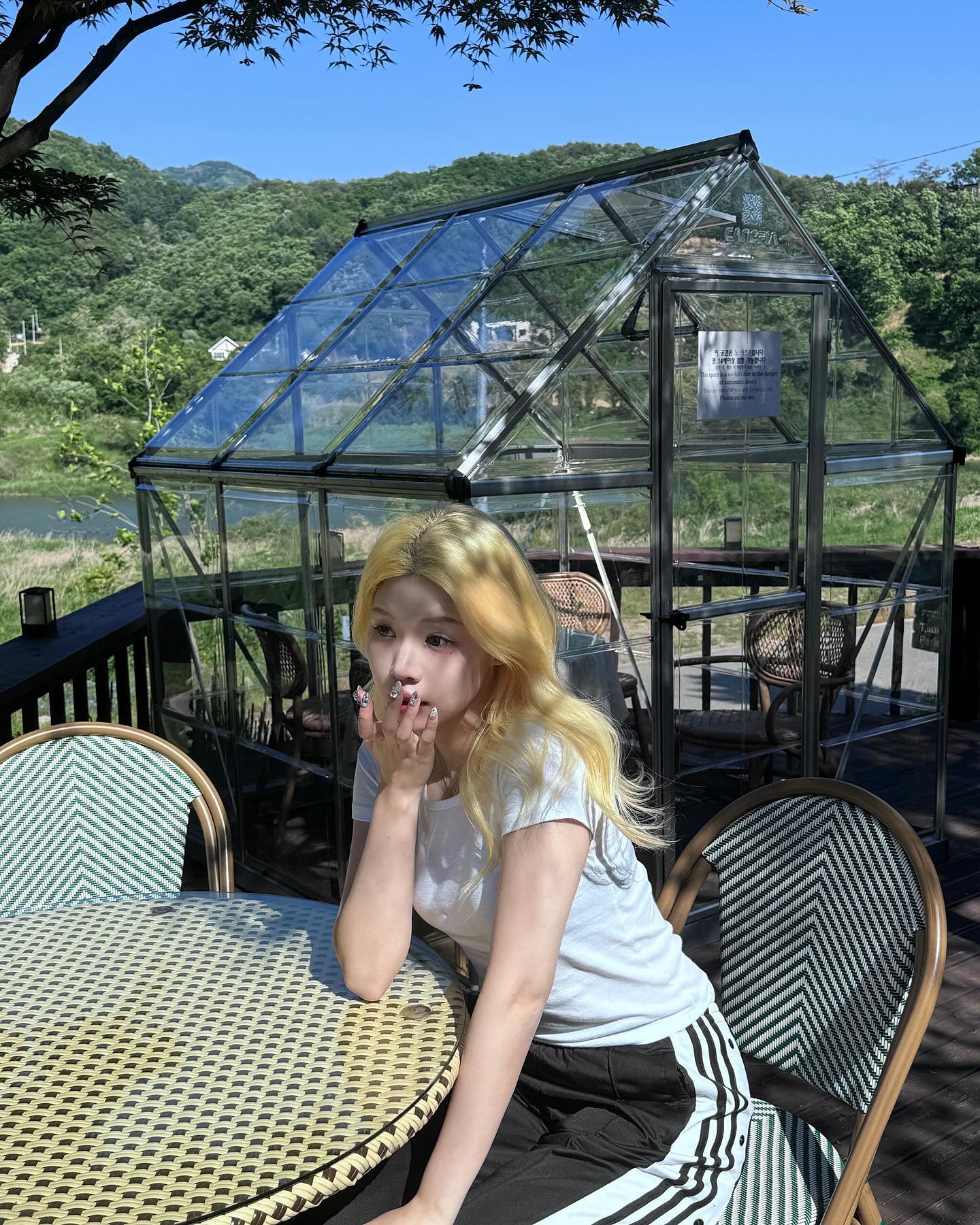 콘텐츠