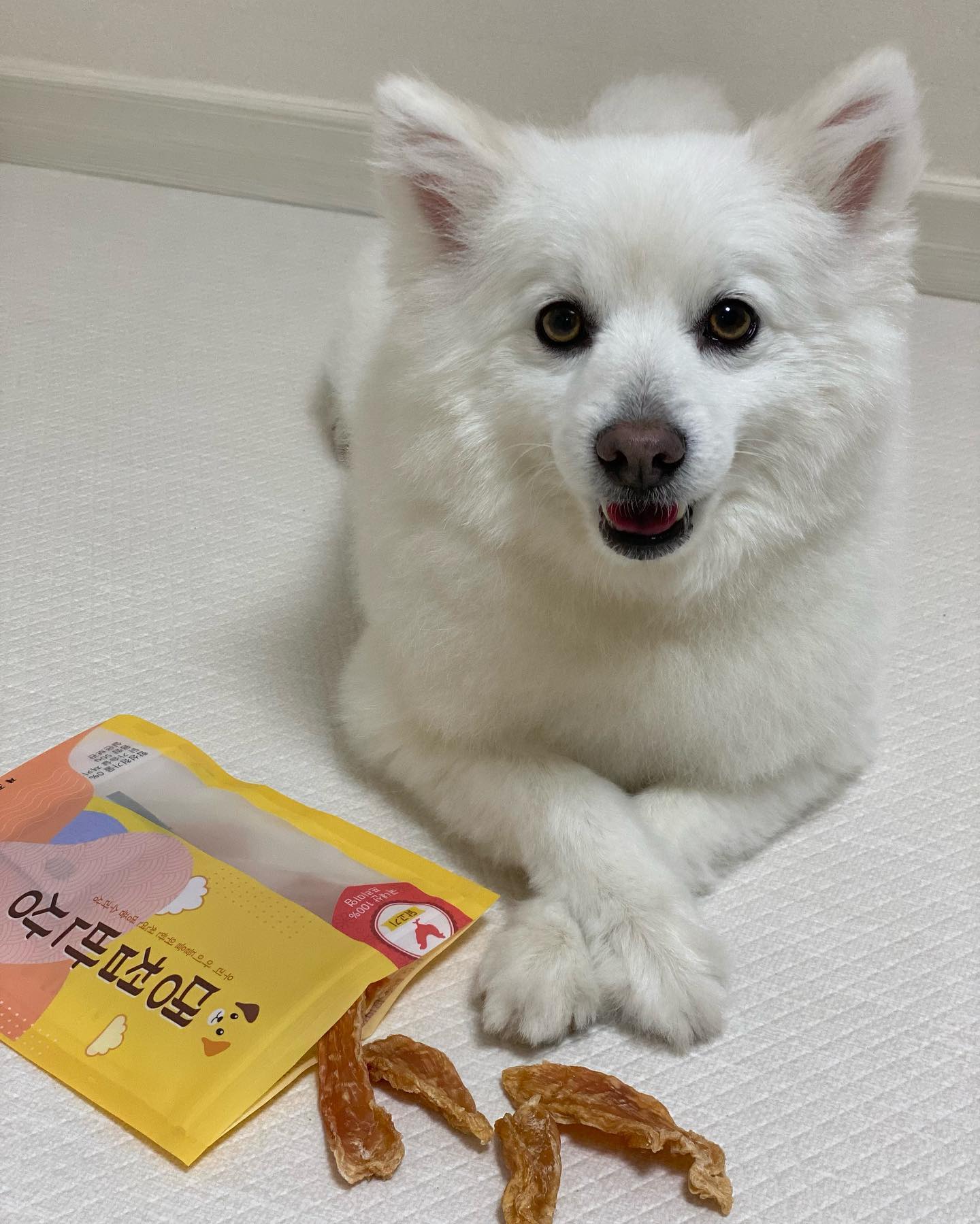 pet.p_official daengceobbansang 
저만 간식 뺏어먹는 거 아니져..?👀

석봉이 새 간식 뜯을 때마다 궁금해서 먼저 먹어보는데,, 
특히 요런 원물 그대로의 간식이 진짜 맛있더라구요..🤭

이번에 먹어 본 댕첩반상 져키도 
국내산 닭가슴살로만 만든 간식이라 고소하니 맛있었어요
물론 석봉이도 너무 맛있게 먹었답니당😋

완전 건조가 아닌 져키라 그런지 살짝 말랑한데다
냄새도 고소하고 크기도 딱 먹기 좋은 크기!
고소한 냄새에 한 번 반하고 맛에 두 번 반하는 
댕첩반상 닭가슴살 져키 다들 먹어봤음 좋겠다😋

➰댕첩반상 닭가슴살 져키는 
- 휴먼그레이드 순수 국내산 원재료 100%
- 글루텐, 부산물, 색소, 방부제, 첨가제 무첨가 
- HACCP 인증을 받은 신선한 원재료 사용 
- 풍부한 단백질, 높은 기호성, 100% 수제 간식

#댕첩반상 #강아지수제간식 #강아지간식 #반려용품 #애견용품 #펫피 #펫피체험단