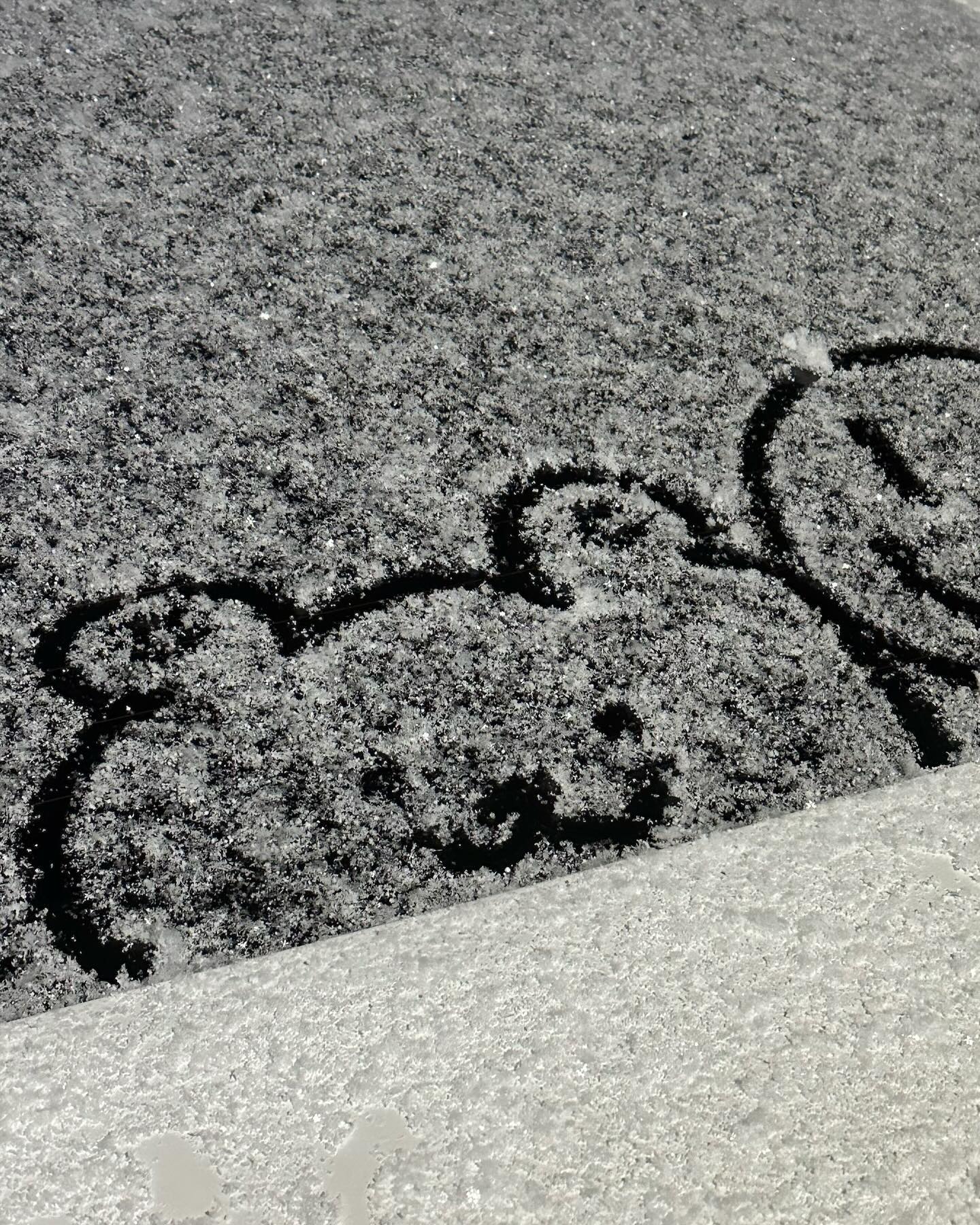 🌨️❄️