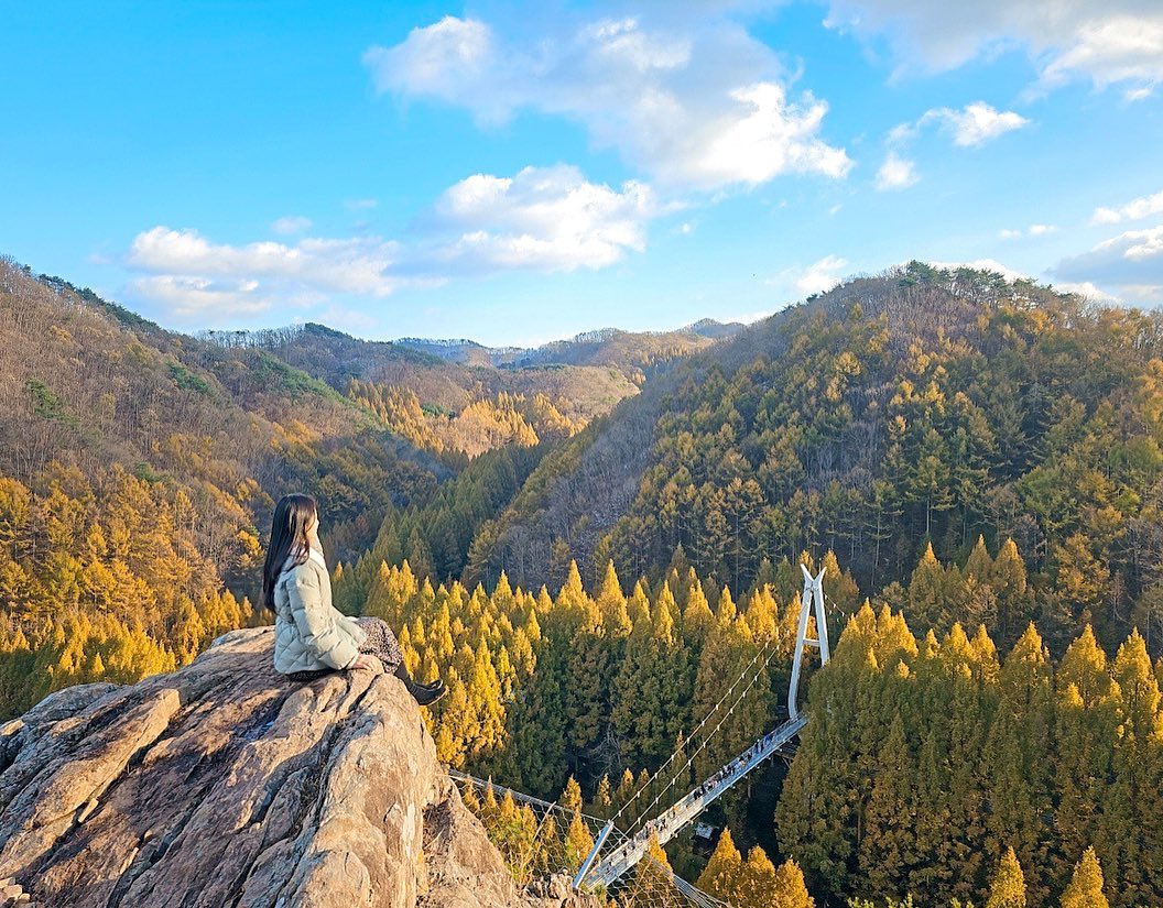 🍁장태산은 이제 붉은빛으로 물들어가요

작년보다 올해 메타세콰이어나무는
단풍으로 물들어가는 시간이 늦어지고
추위는 더 빨리 왔네요🥲

#장태산자연휴양림 #메타세콰이어숲 #단풍명소 
#단풍놀이 #대전여행 #대전단풍명소 #단풍구경