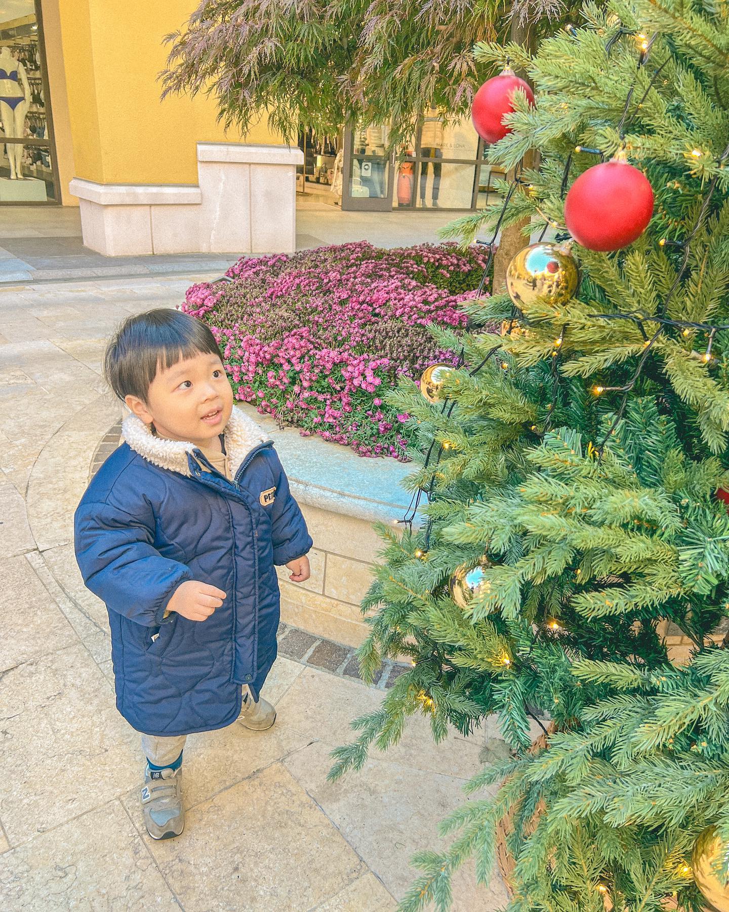 🎄✨
 

올해 첫 트리☺️
 
 
 
#이쓰빈