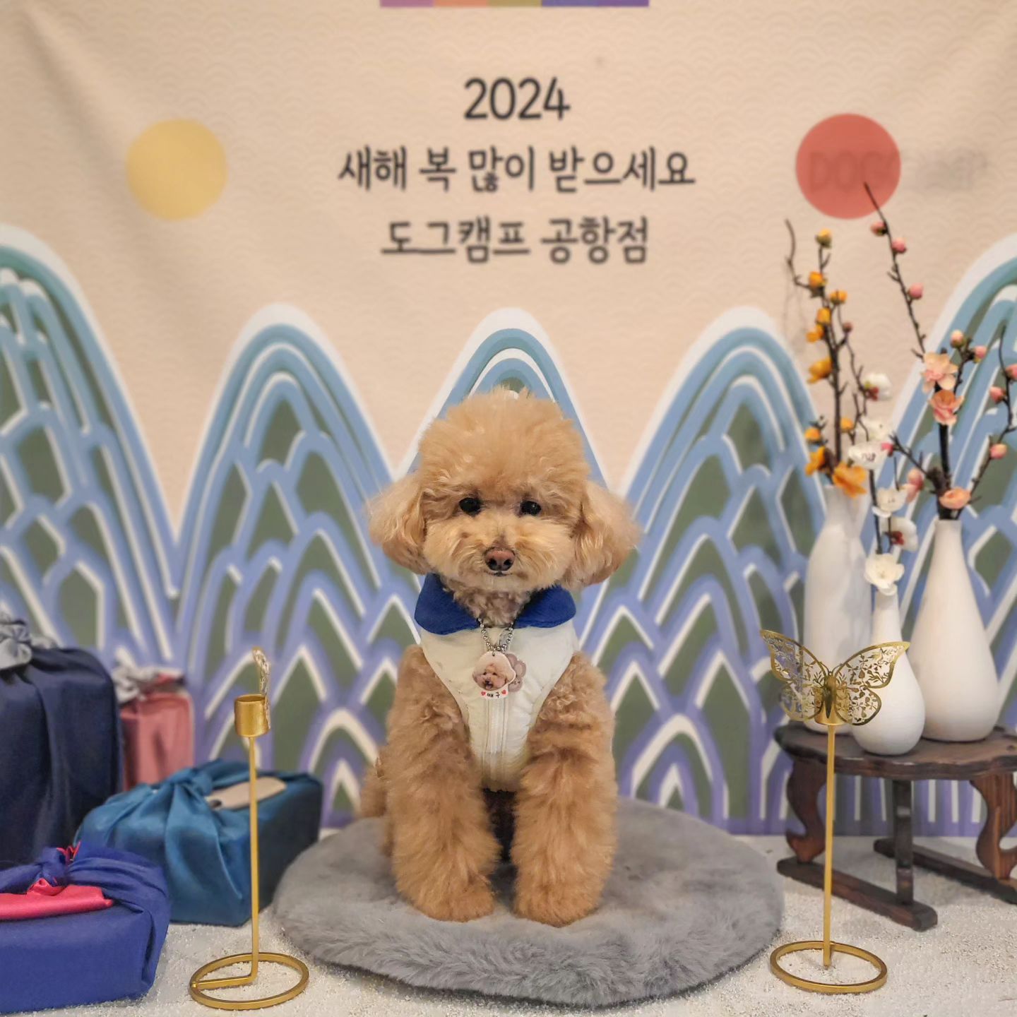 누나가 이젠 귀찮다구 한복도 안입혀주는데 이게 맞냐,,?🤔
누나형아이모삼촌들도 새해 복 많이 받구
칭구들도 맛난거 많이먹구 신나게 뛰뛰 즐기는 한 해 보내자😘
#HAPPY설날 #새해복많이받으세요