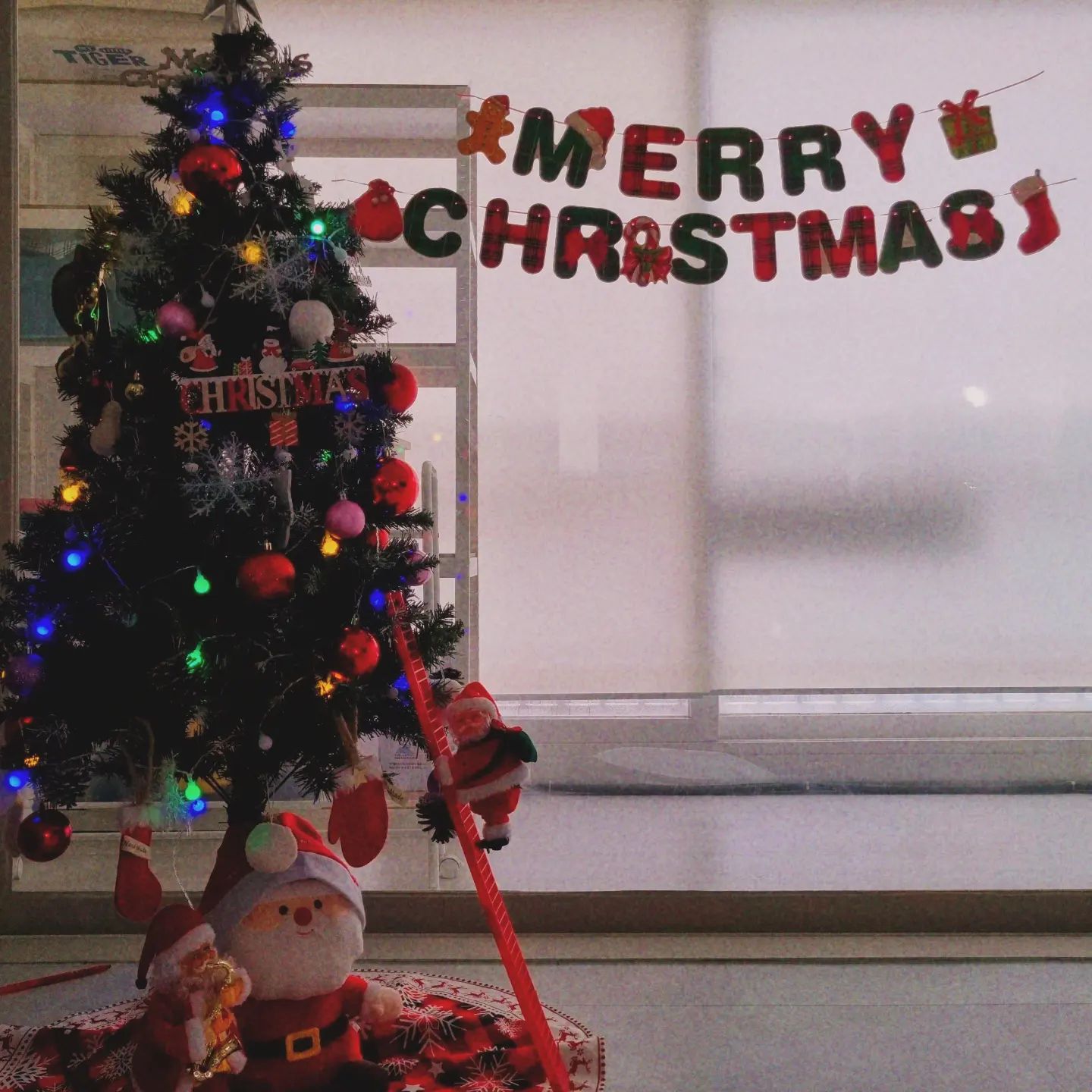🎄