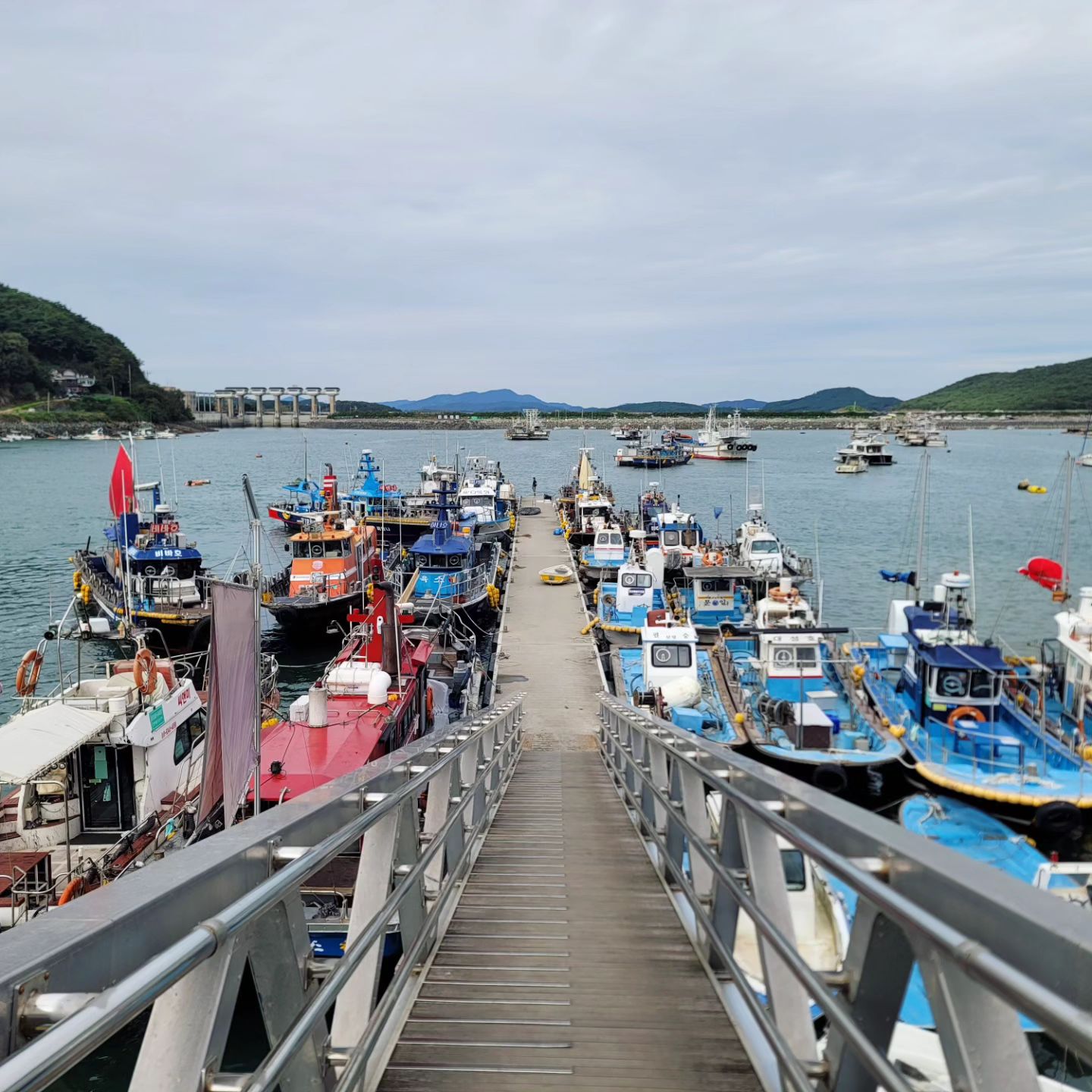 #오천항

생각보다 여유있게 돌아보기 좋았던
보령 오천항 🚢

낚시를 목적으로 특히 많은분들이 찾는 곳 같았는데요, 오양손칼국수에서 점심 든든히 먹고 산책겸 한바퀴하니 너무 좋더라고요 ~

덥지도 춥지도 않은
기분좋은날에 오천항을 다녀왔어요 : )

#보령한달살이 #보령시문화관광
#만세보령 #보령여행 #대천나들이

#오천면 #수영성둘레길 #충청수영성 #오천면여행 #서해바다