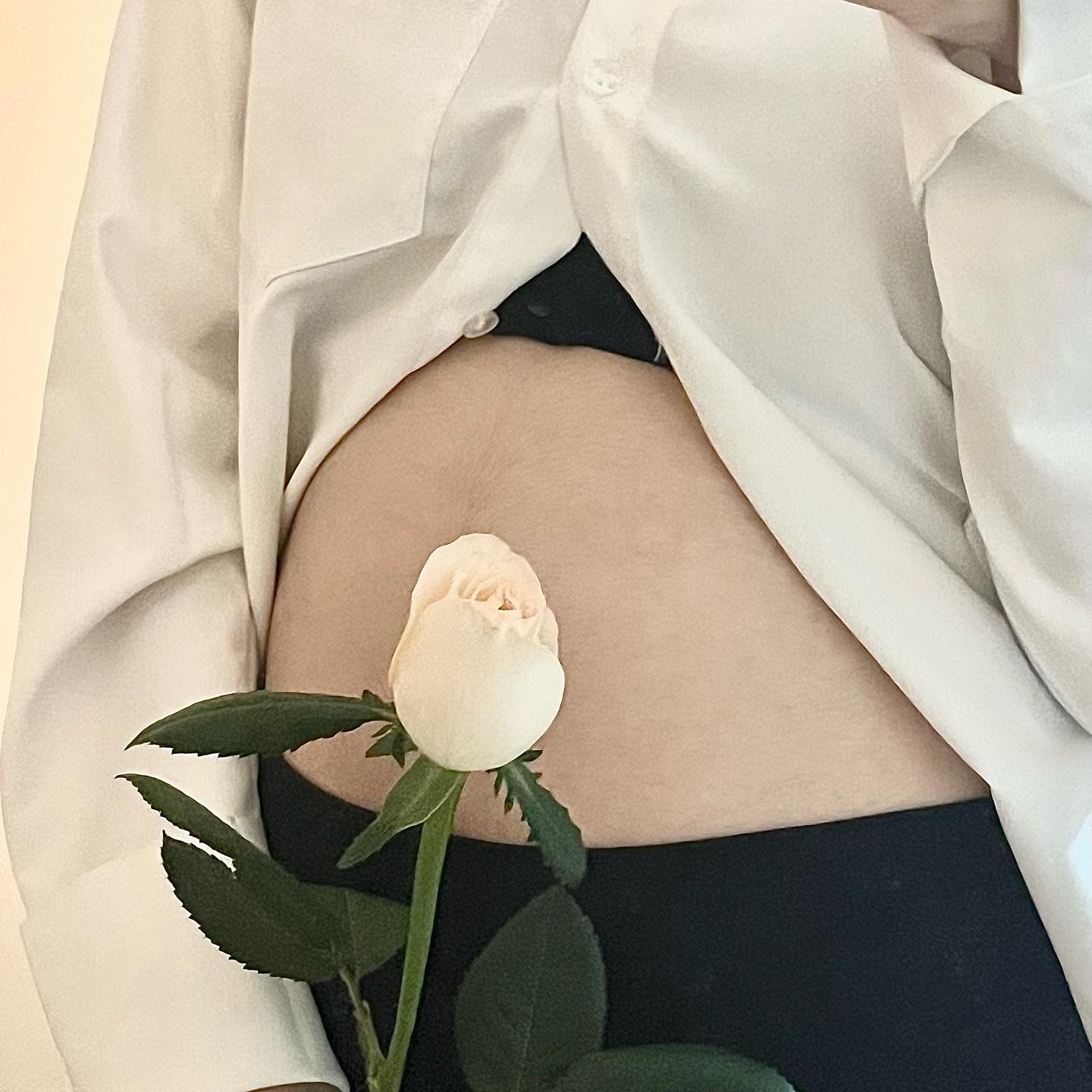 #임산부의날 
언제 또 이런 날을 기념하겠나- 싶어서
퇴근길에 꽃 한 송이 부탁했더니 예쁜 걸로 사온 울 남편🤍

깜짝이를 품은 소중한 나 자신도 대견하고
아빠 될 준비하느라 부담될 텐데 항상 행복해하는 호빈도 멋져

남은 시간도 알차게 보내보자아앙🤍

#깜짝맘👶🏻 #깜짝이💖 #24w6d