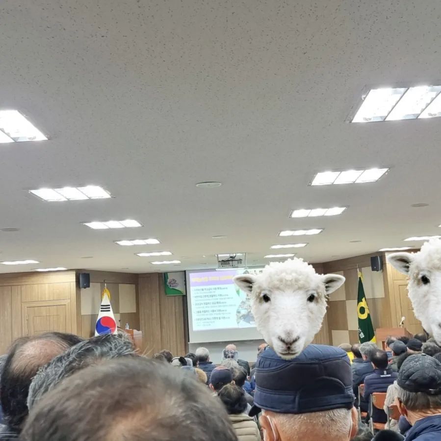 #새해농업인실용교육 #벼 #영인농협
1월5일 
새해에 농업인실용교육 벼관련하여 교육을 받앗습니다.

많은 사람들이 모여서 있는데 아는 동네이웃과 이장님들 
그리고 아산농업기술센터 이미용과장님을 뵐수잇어서 좋았습니다