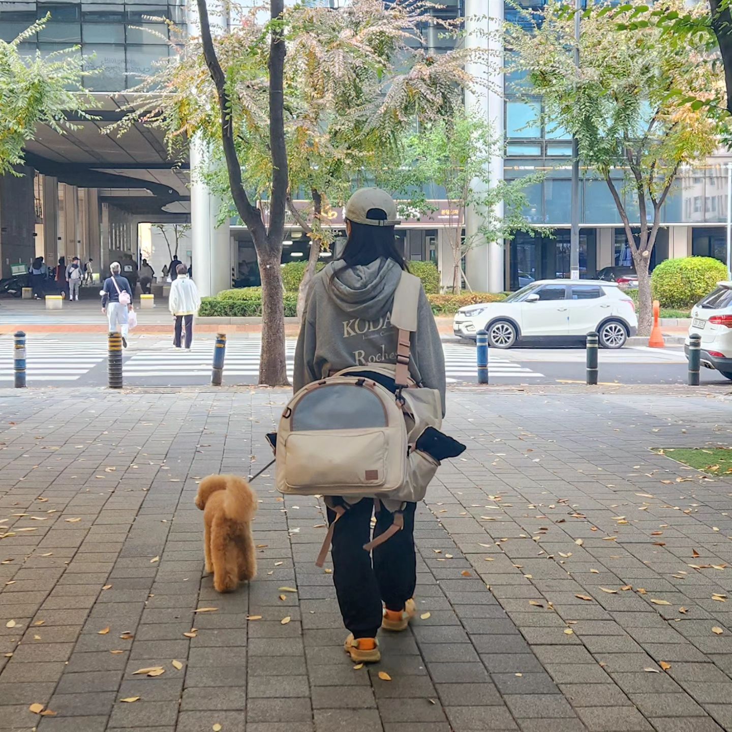 할로윈 팬미팅을 위해 떠난 뚜벅뚜벅 뚜벅이의 여행👣🚉
인천<>성남 왕복 4시간 실화냐구,,? 
비행기타고 김해가는게 더 빠른데요ㅠㅠ!!
 
어답트미 쉽고 백팩 없었으면 어찌 이고지고 다닐라했을까,,,😇

지하철,버스,식당,카페,마트 못가는 곳이 없구 6in1 답게 백팩,앞가방,크로스,토트,캔넬,방석 야무지게 다 활용하구옴

가방도 너무 튼튼해서 때구가 안에서 서있거나 움직여두 무너짐없이 탄탄하게 받쳐줘서 진짜 최고,,,,

쓰면서 때구도 편하고 나도 넘 편해서 장점 밖에 없눈데 굳이 단점이라면,,

단점1,,,안무너지는거 알구,,,이동중인데 구경한다구 자꾸 가방집고 일어남🤣 가마이써 이녀석아ㅠ

단점2 편함을 알아버린 강아지,,, 걸어두되는데 자꾸 가방태워달라함,, 이거 유모차아니거든요ㅠ 산책나오셨으면 걸으셔야하거든요ㅠ???

진짜 뚜벅이 필수템이예요 증말👏👏👏 이거 외않사ㅠ
adoptme.co.kr 

#주말에넘감동해서쓰는찐후기 
#강아지가방 #강아지슬링백 #강아지이동가방 #어답트미쉽고백팩