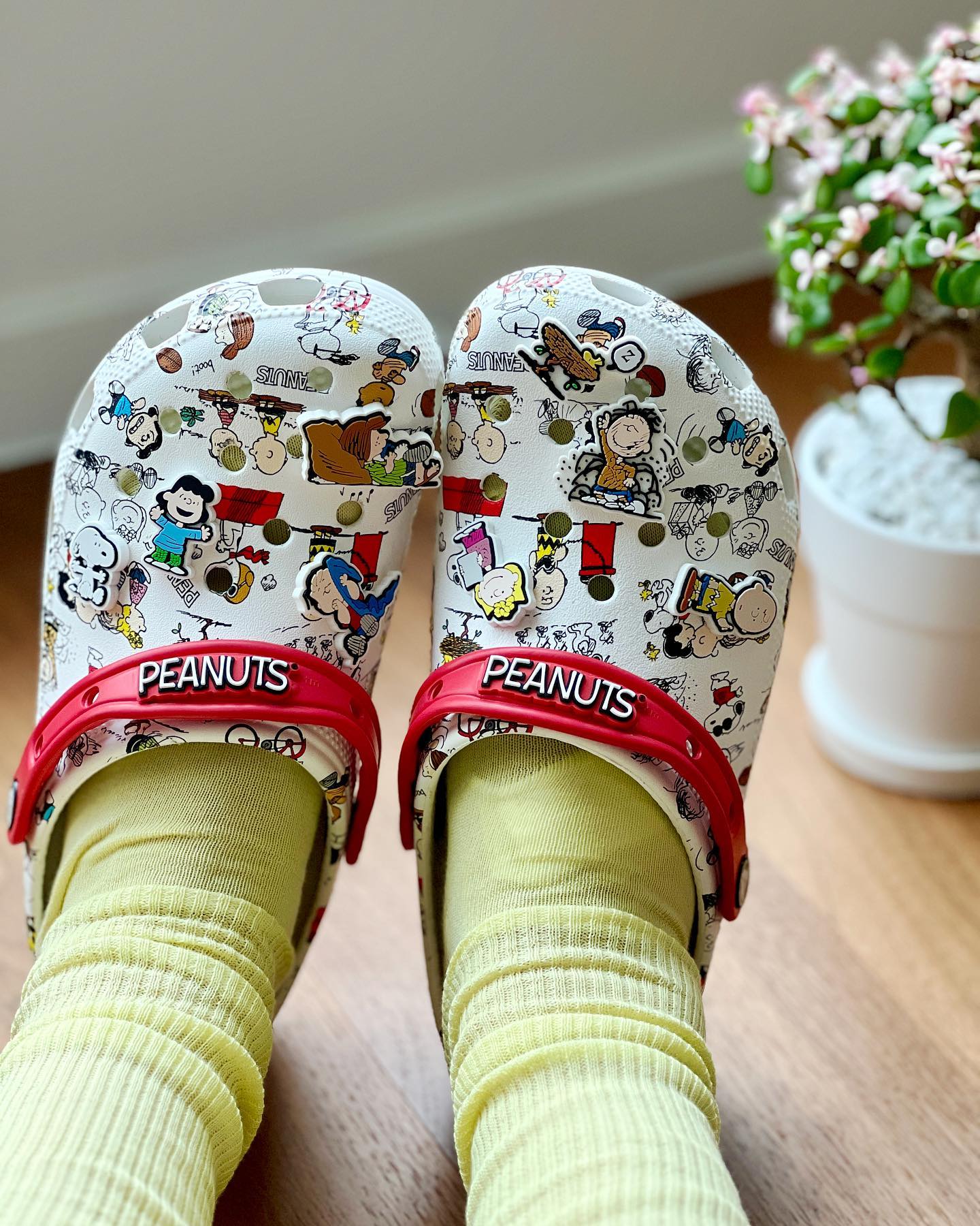 i ❤️ snoopy 🐶