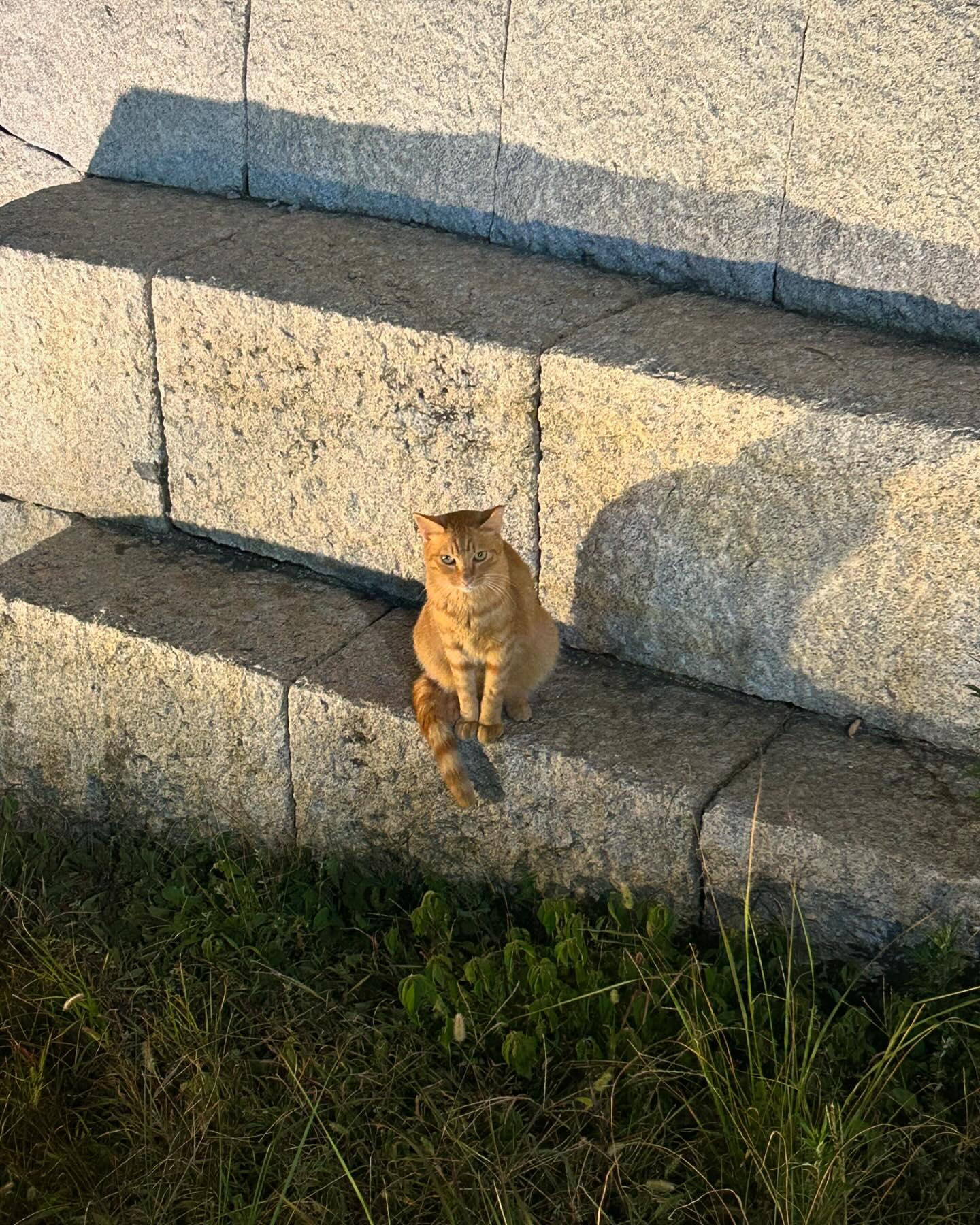 산다는건..