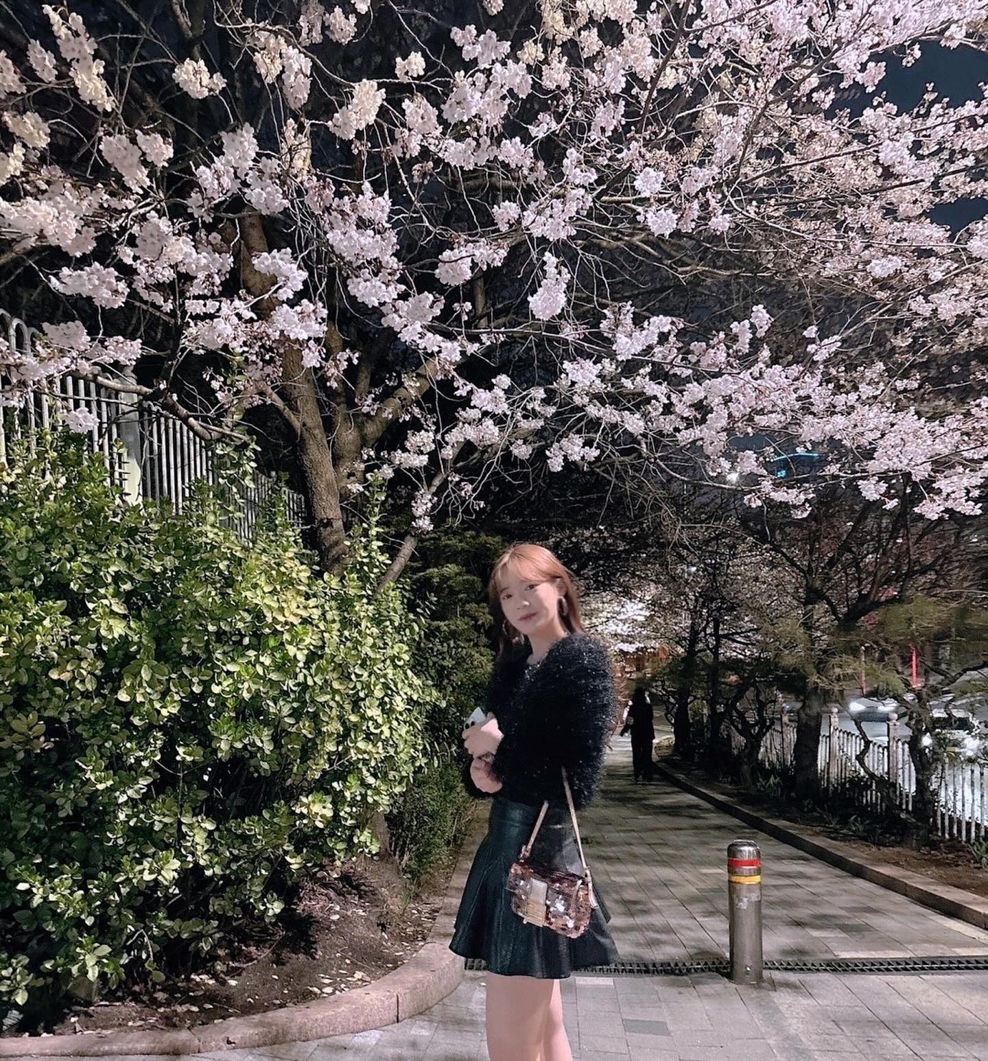 🌸